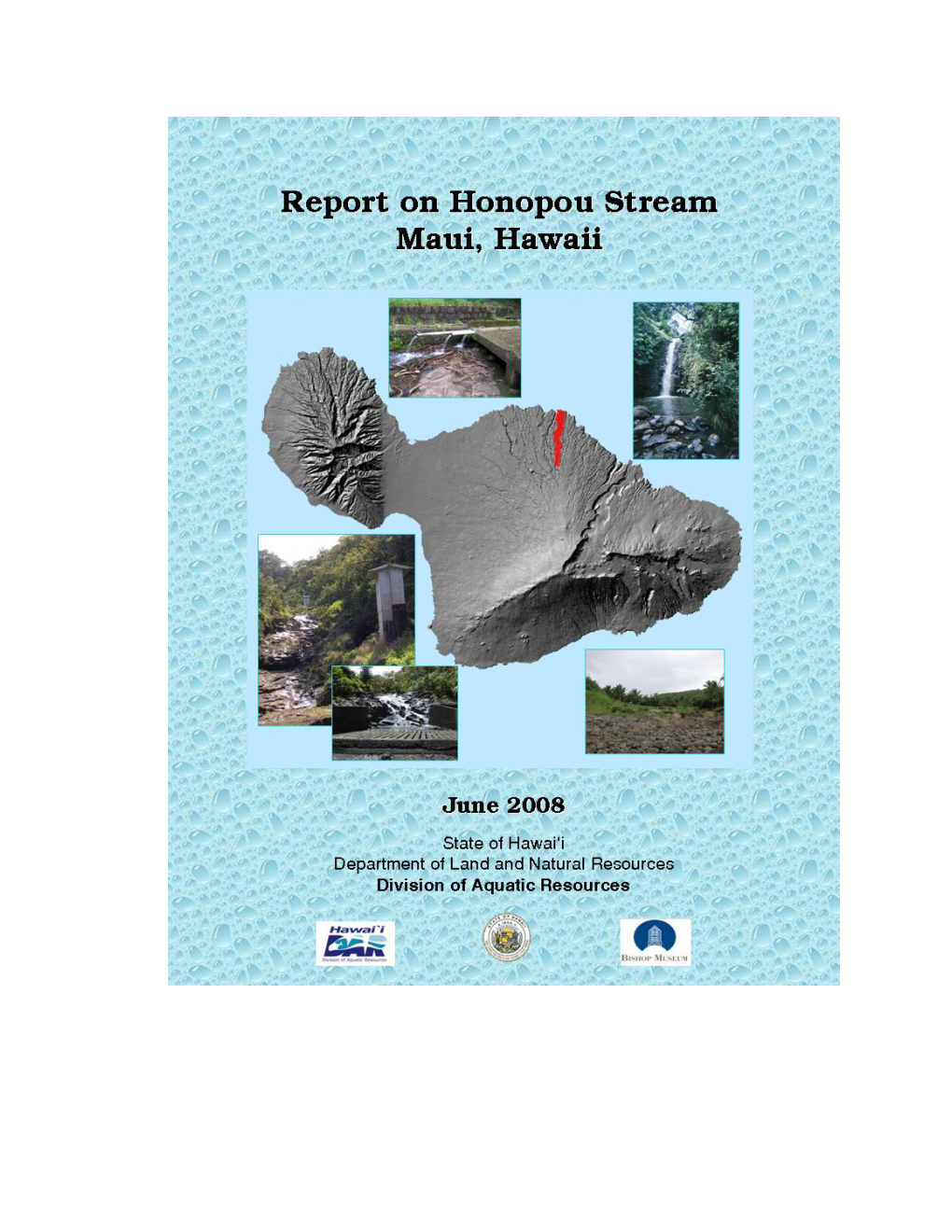 Report on Honopou Stream Maui, Hawaiÿi