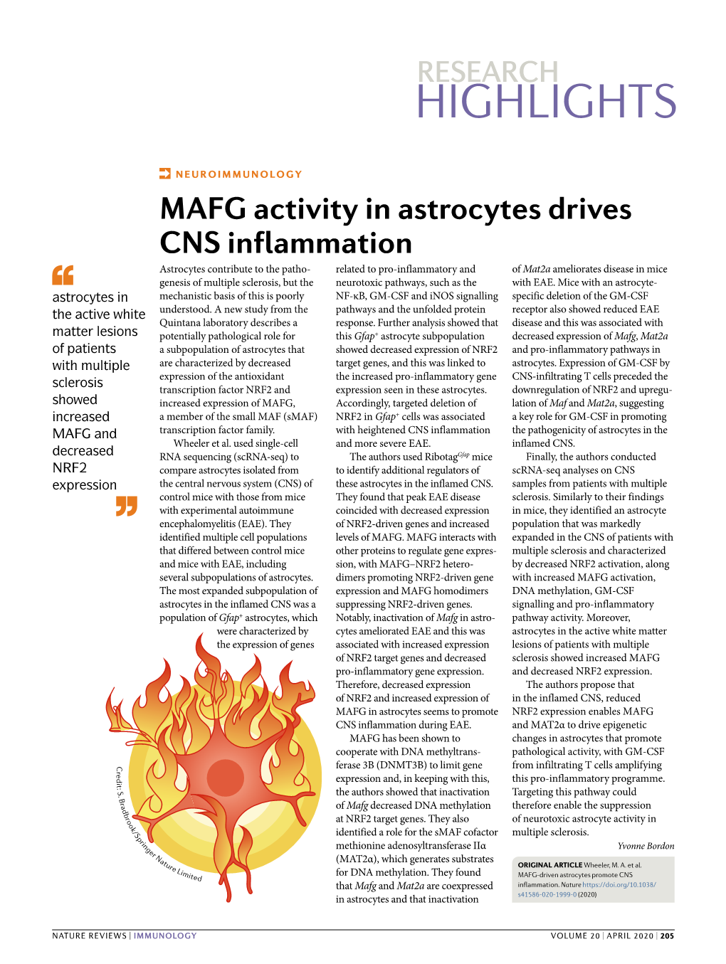 MAFG Activity in Astrocytes Drives CNS Inflammation