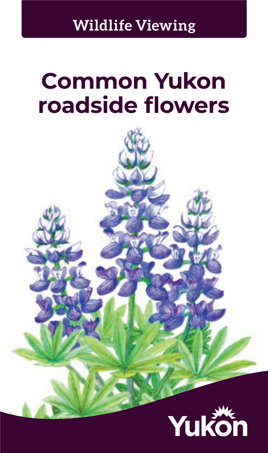 Common Yukon Roadside Flowers © Government of Yukon 2019 ISBN 987-1-55362-830-9