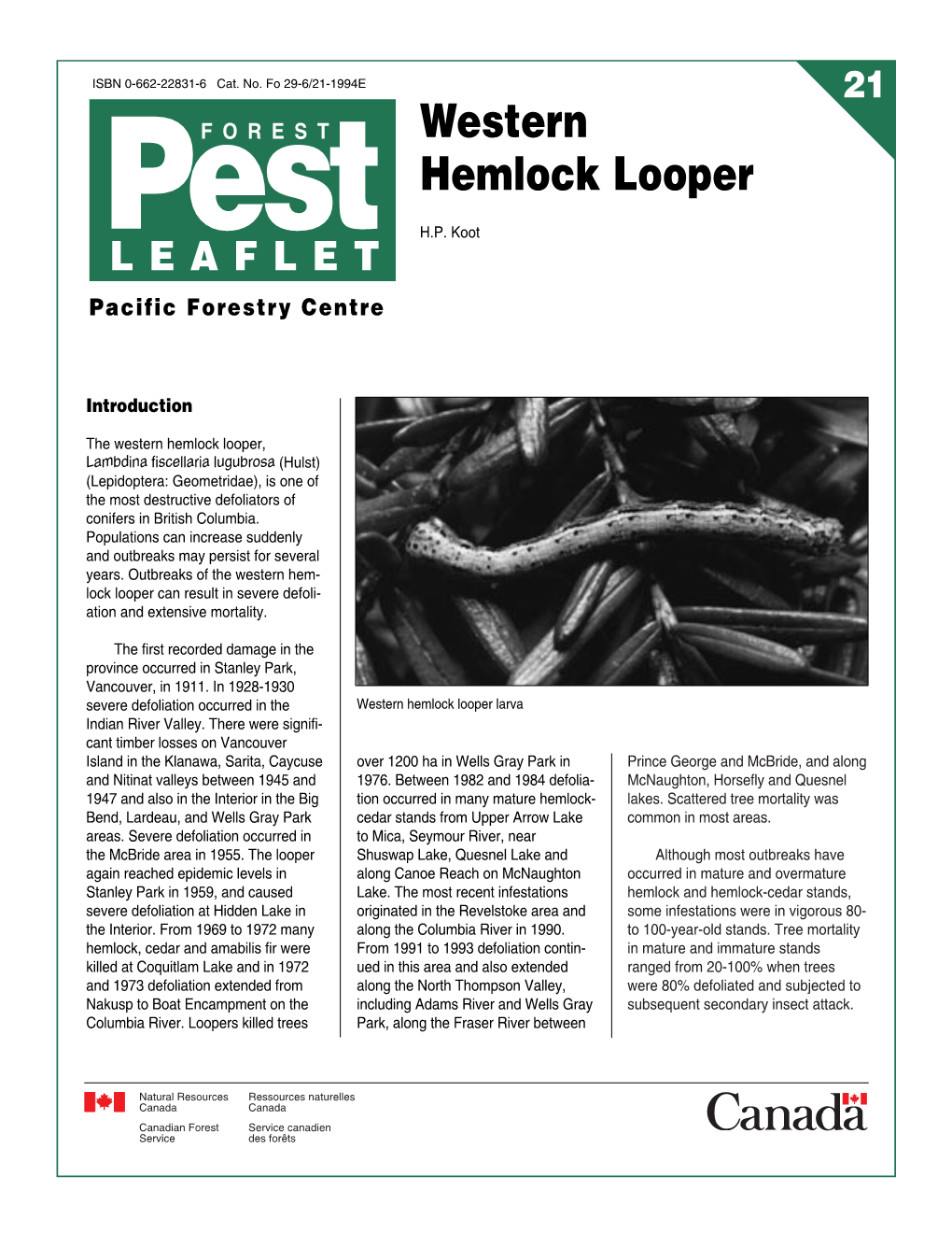Western Hemlock Looper Pest H.P
