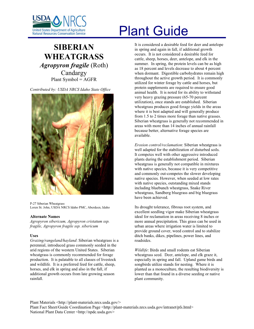 Siberian Wheatgrass Produces Good Forage Yields in the Areas Where It Is Best Adapted and Will Generally Produce from 1.5 to 2 Times More Forage Than Native Grasses