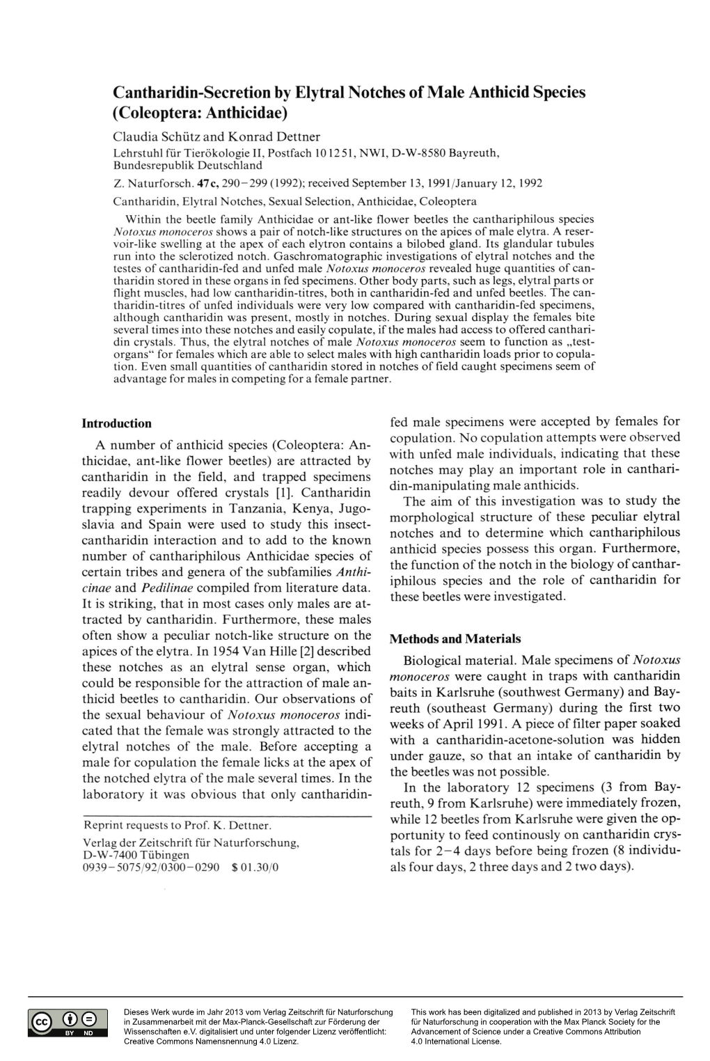 Cantharidin-Secretion by Elytral Notches of Male Anthicid