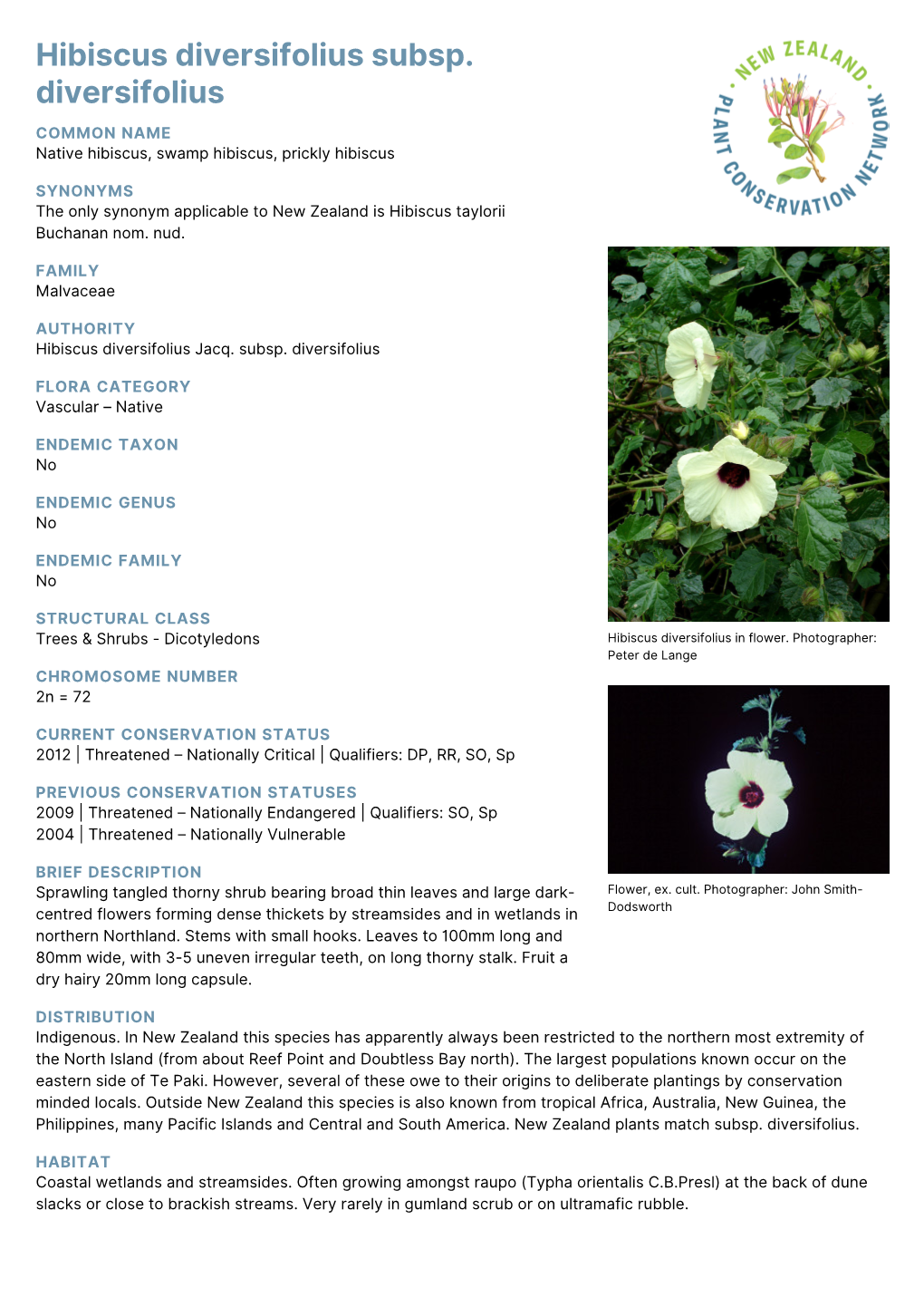 Hibiscus Diversifolius Subsp. Diversifolius