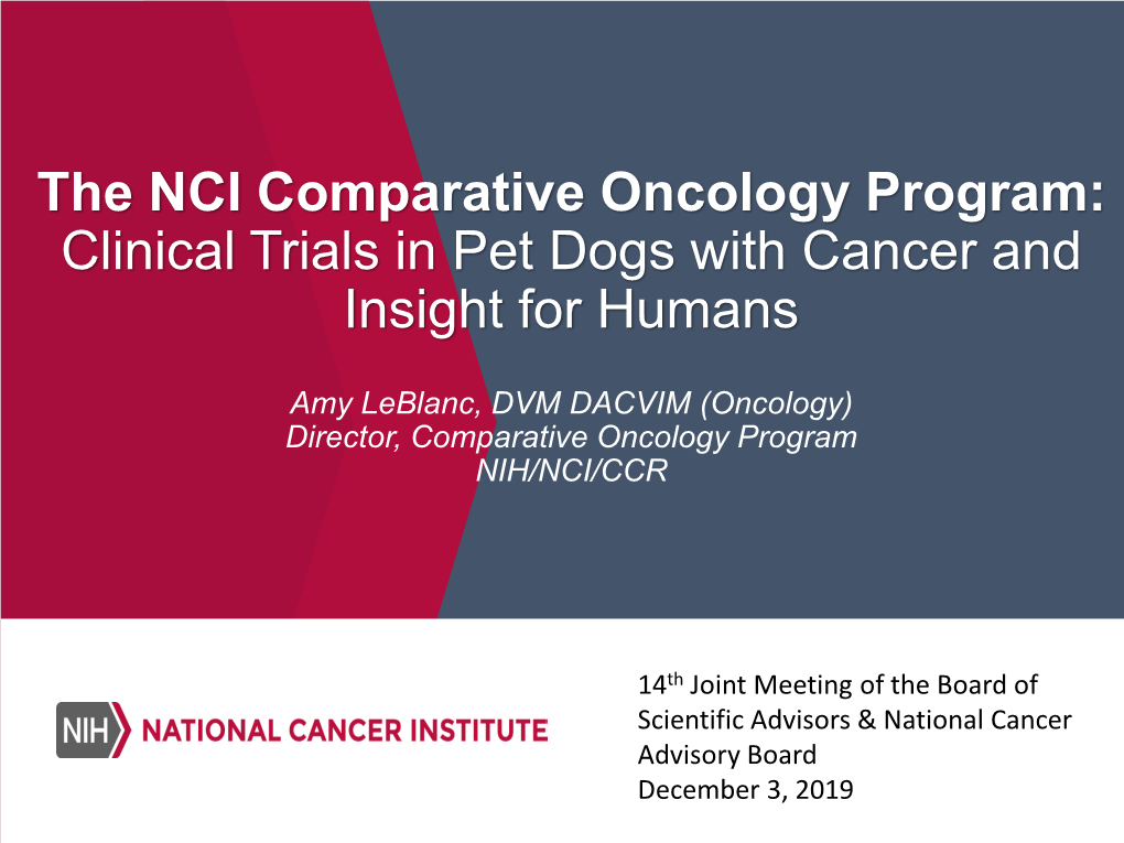 Comparative Oncology Program: Clinical Trials in Pet Dogs with Cancer and Insight for Humans