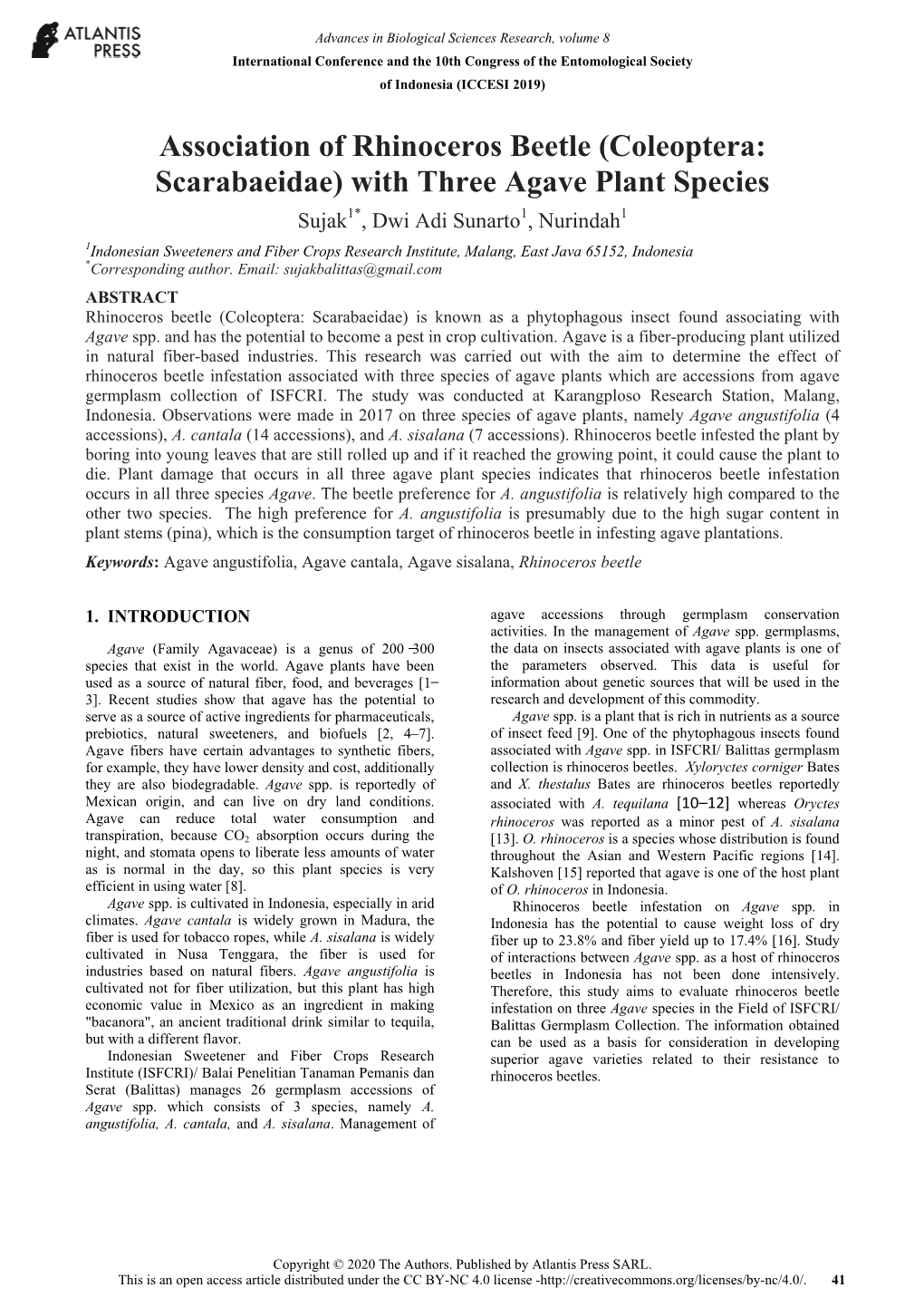 Association of Rhinoceros Beetle (Coleoptera: Scarabaeidae)