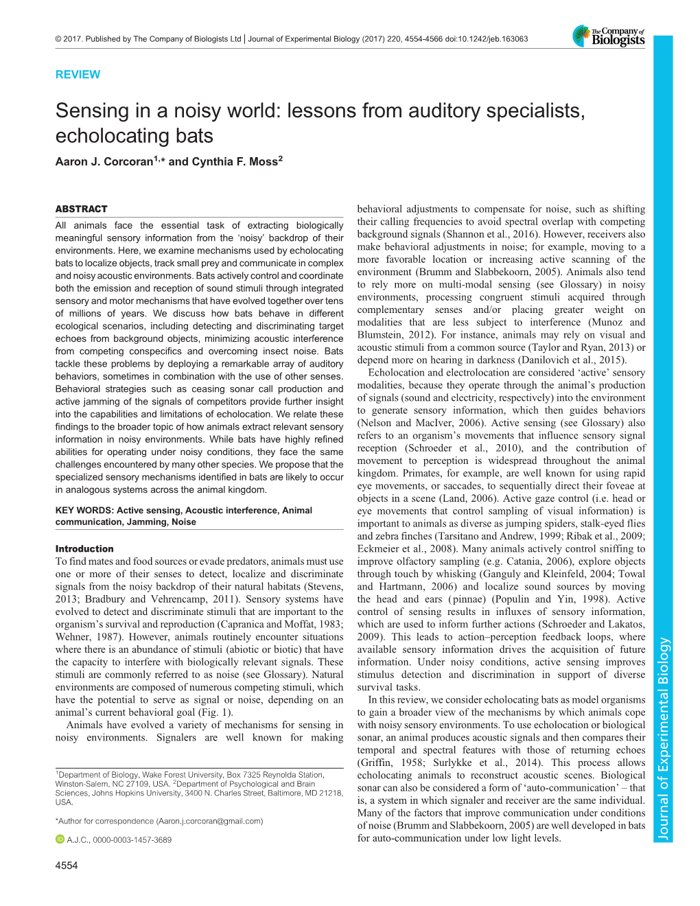 Sensing in a Noisy World: Lessons from Auditory Specialists, Echolocating Bats Aaron J