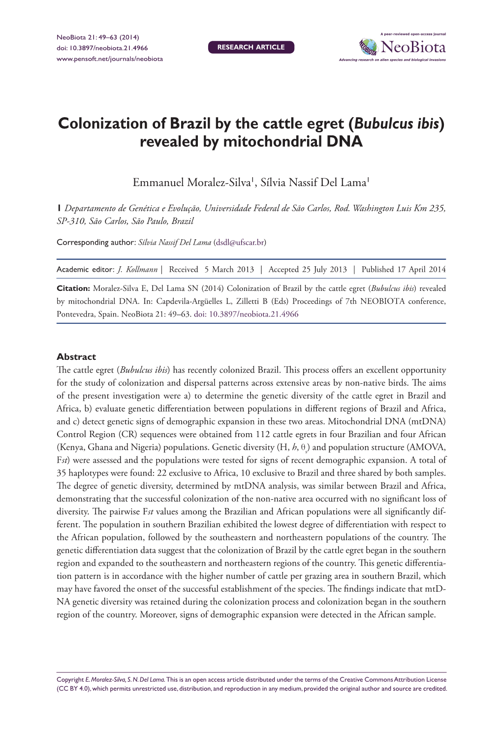 Colonization of Brazil by the Cattle Egret (Bubulcus Ibis) Revealed by Mitochondrial DNA