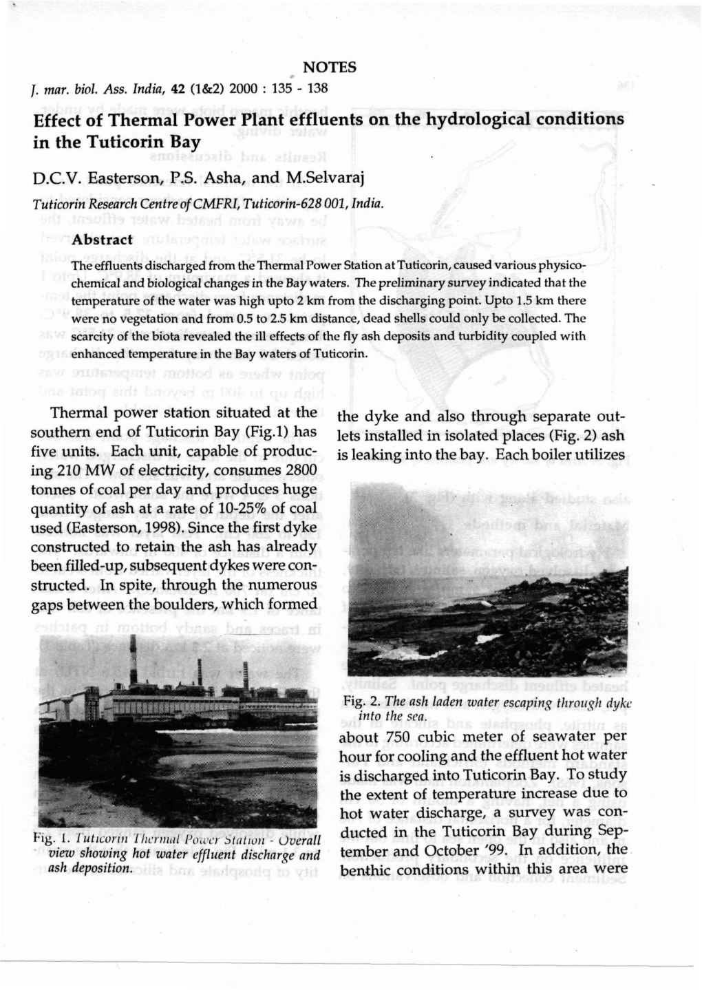 Effect of Thermal Power Plant Effluents on the Hydrological Conditions in the Tuticorin Bay