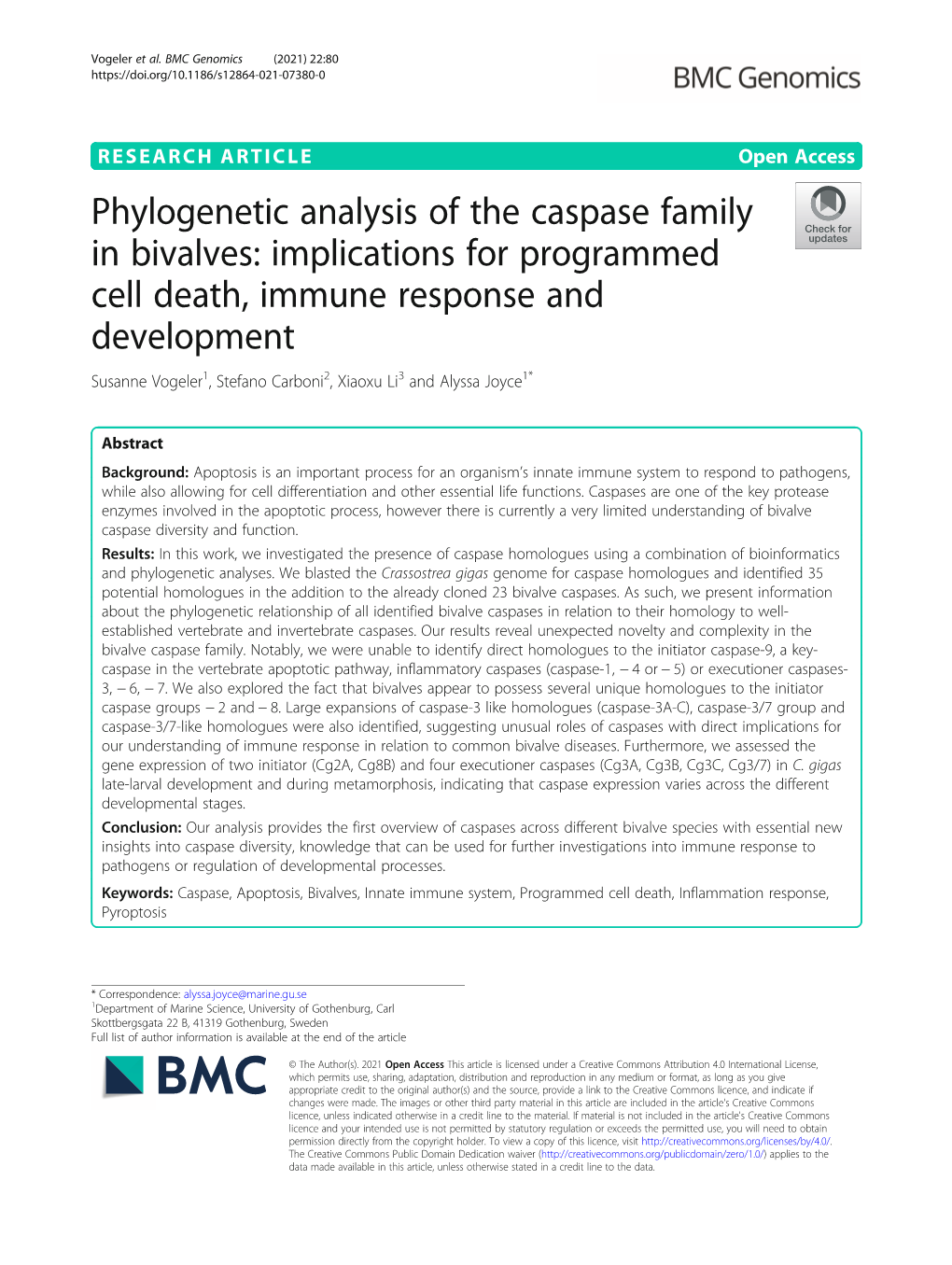 Phylogenetic Analysis of the Caspase Family in Bivalves: Implications For