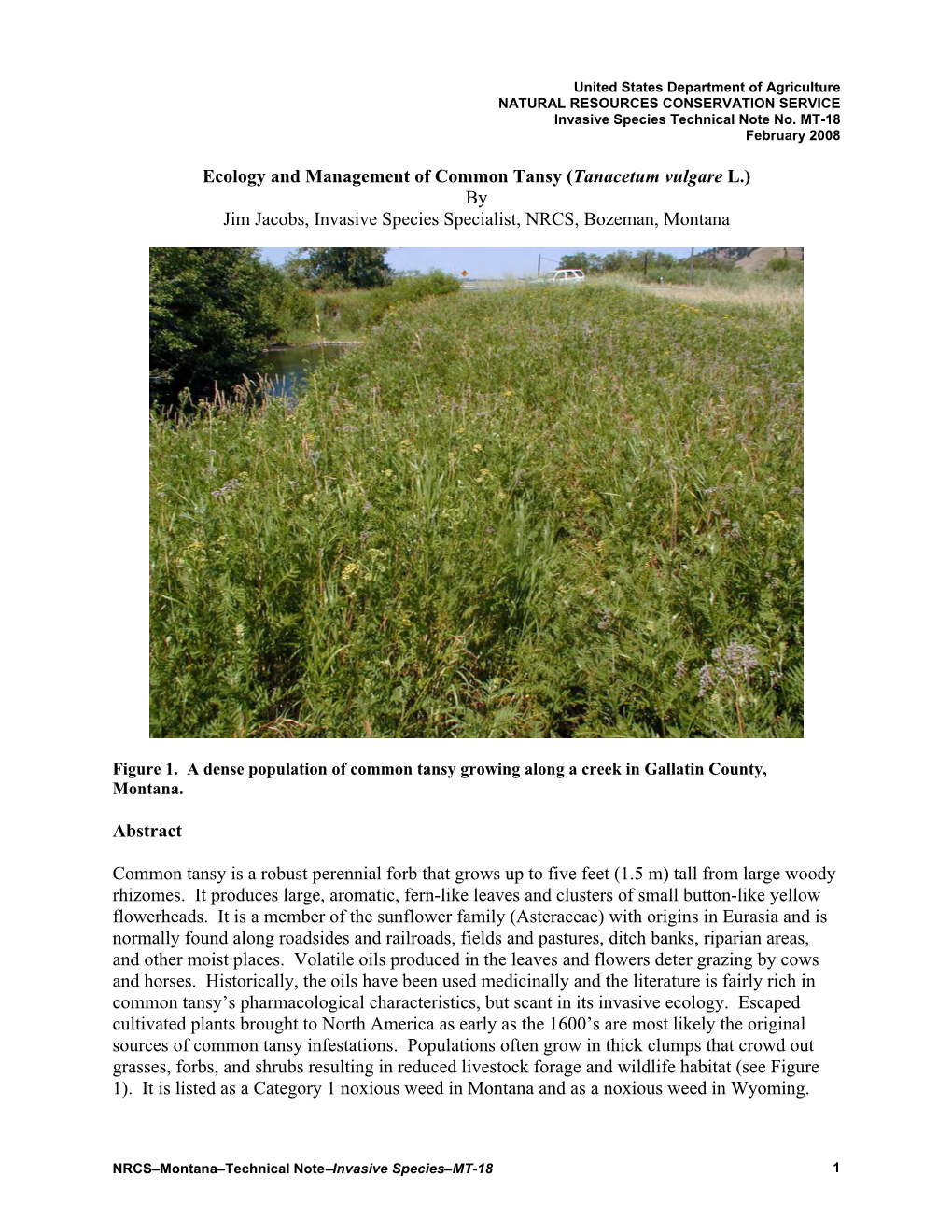 Montana Invasive Plant Species Technote
