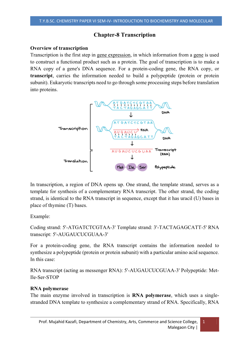 T.Y.B.SC. CHEMISTRY PAPER VI SEM-IV- INTRODUCTION to BIOCHEMISTRY and MOLECULAR BIOLOGY Chapter-8 Transcription