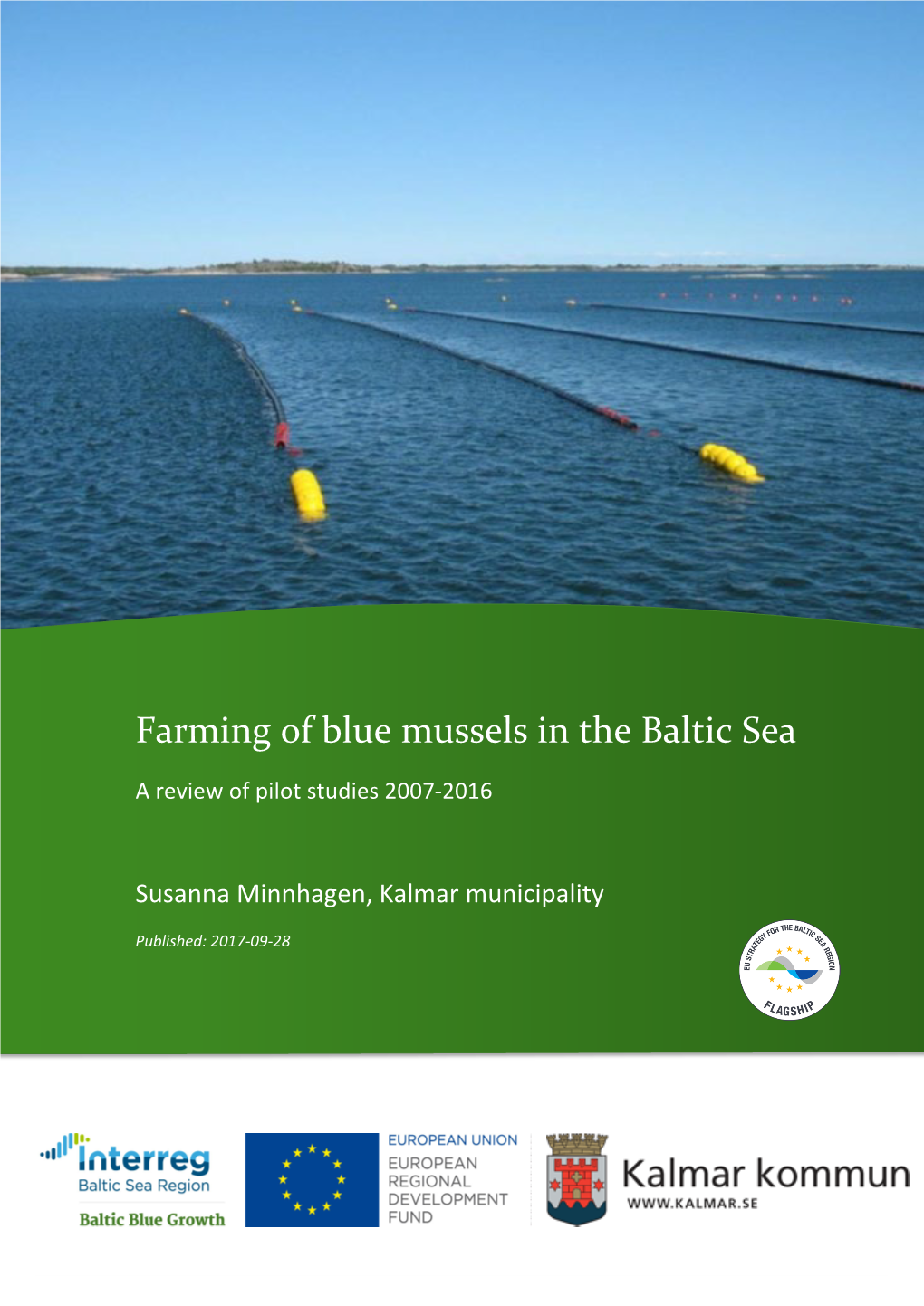 Farming of Blue Mussels in the Baltic Sea, A