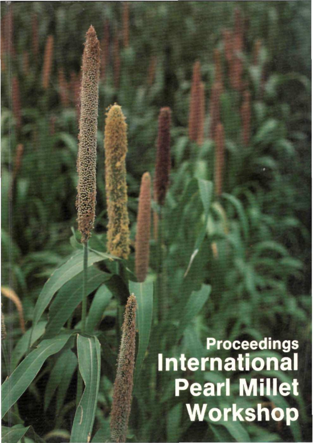 International Pearl Millet Workshop