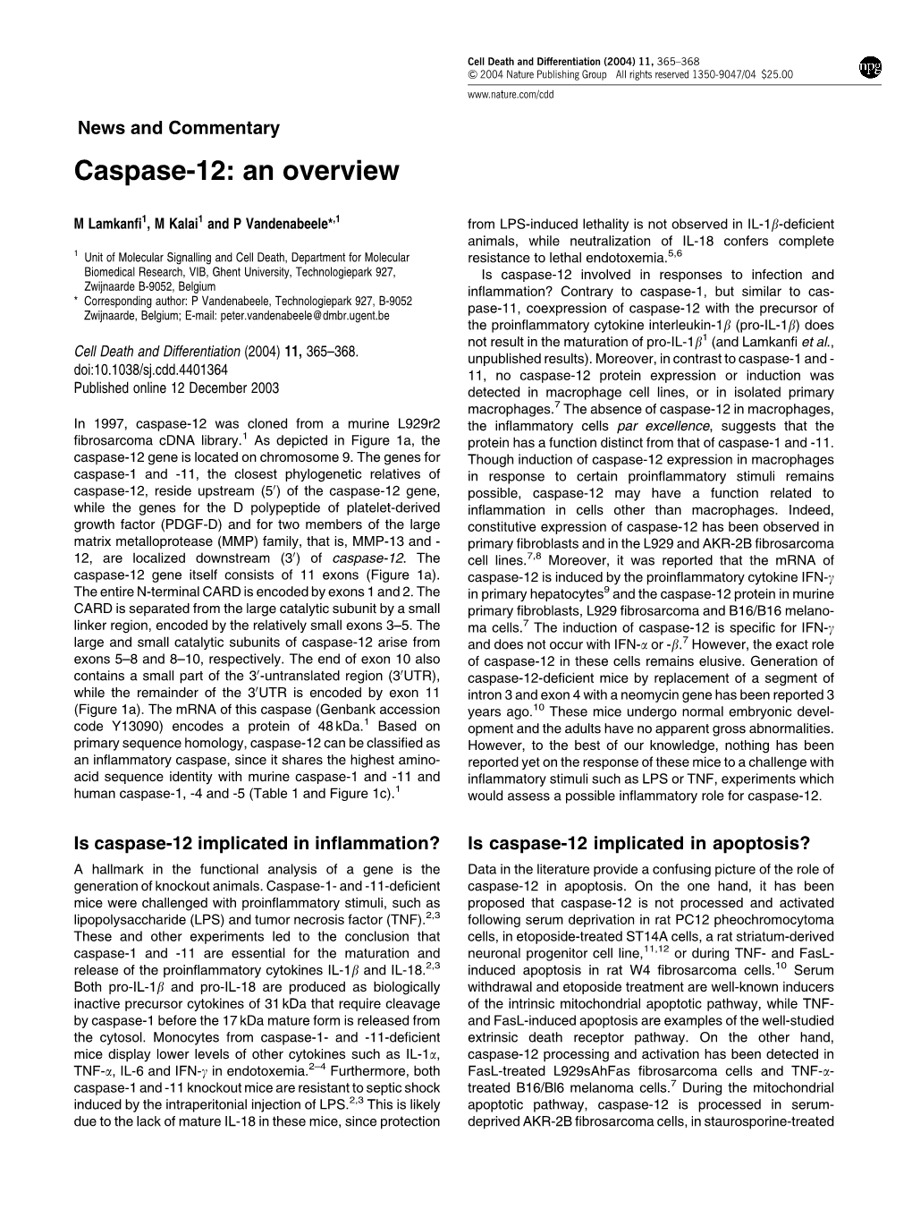 Caspase-12: an Overview
