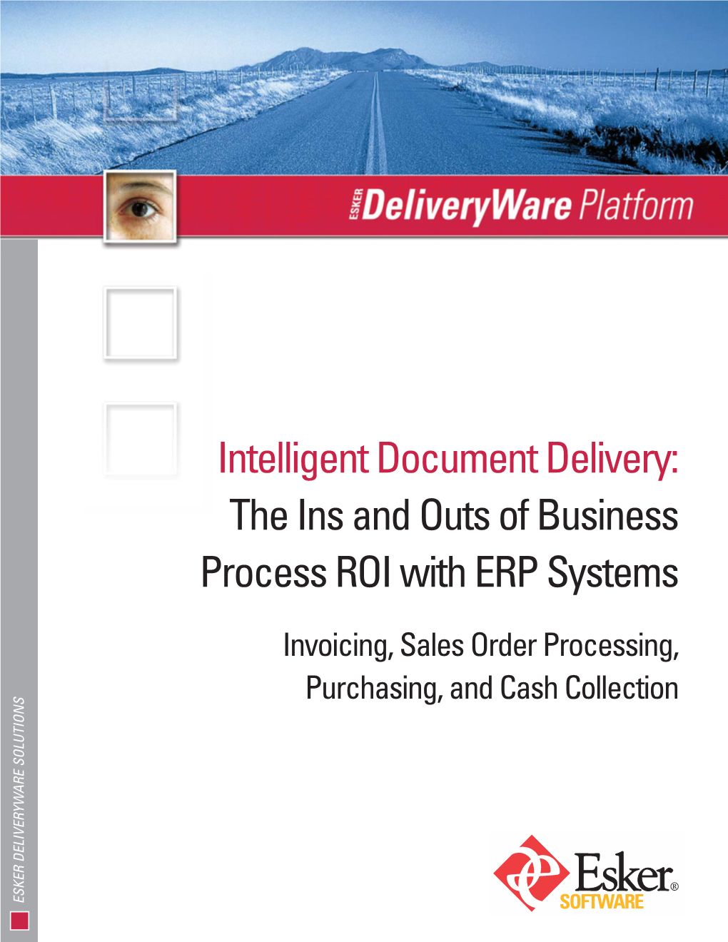 The Ins and Outs of Business Process ROI with ERP Systems