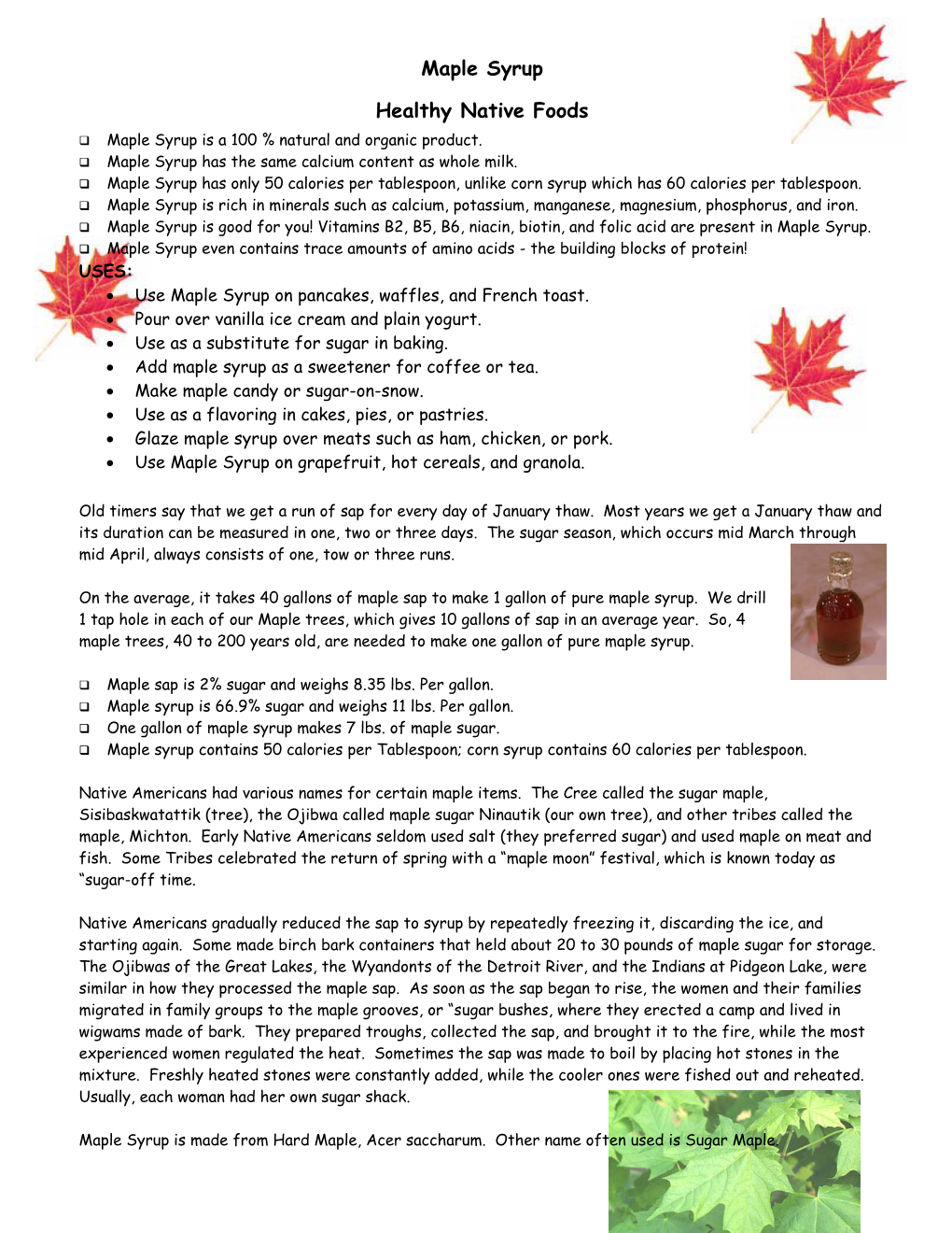 Maple Syrup Healthy Native Foods