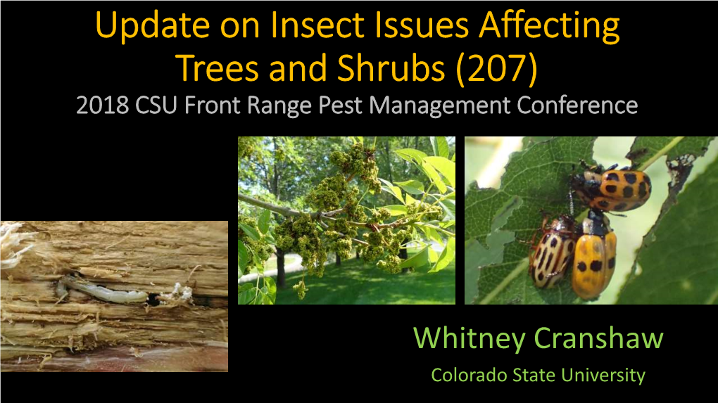 Update on Insect Issues Affecting Trees and Shrubs (207) 2018 CSU Front Range Pest Management Conference