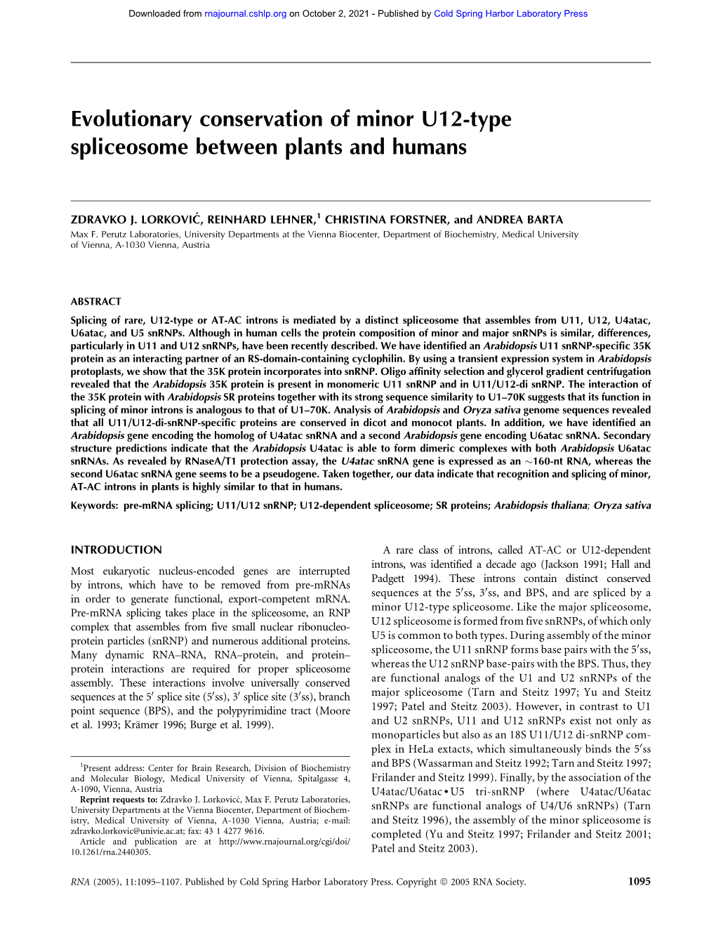 Evolutionary Conservation of Minor U12-Type Spliceosome Between Plants and Humans