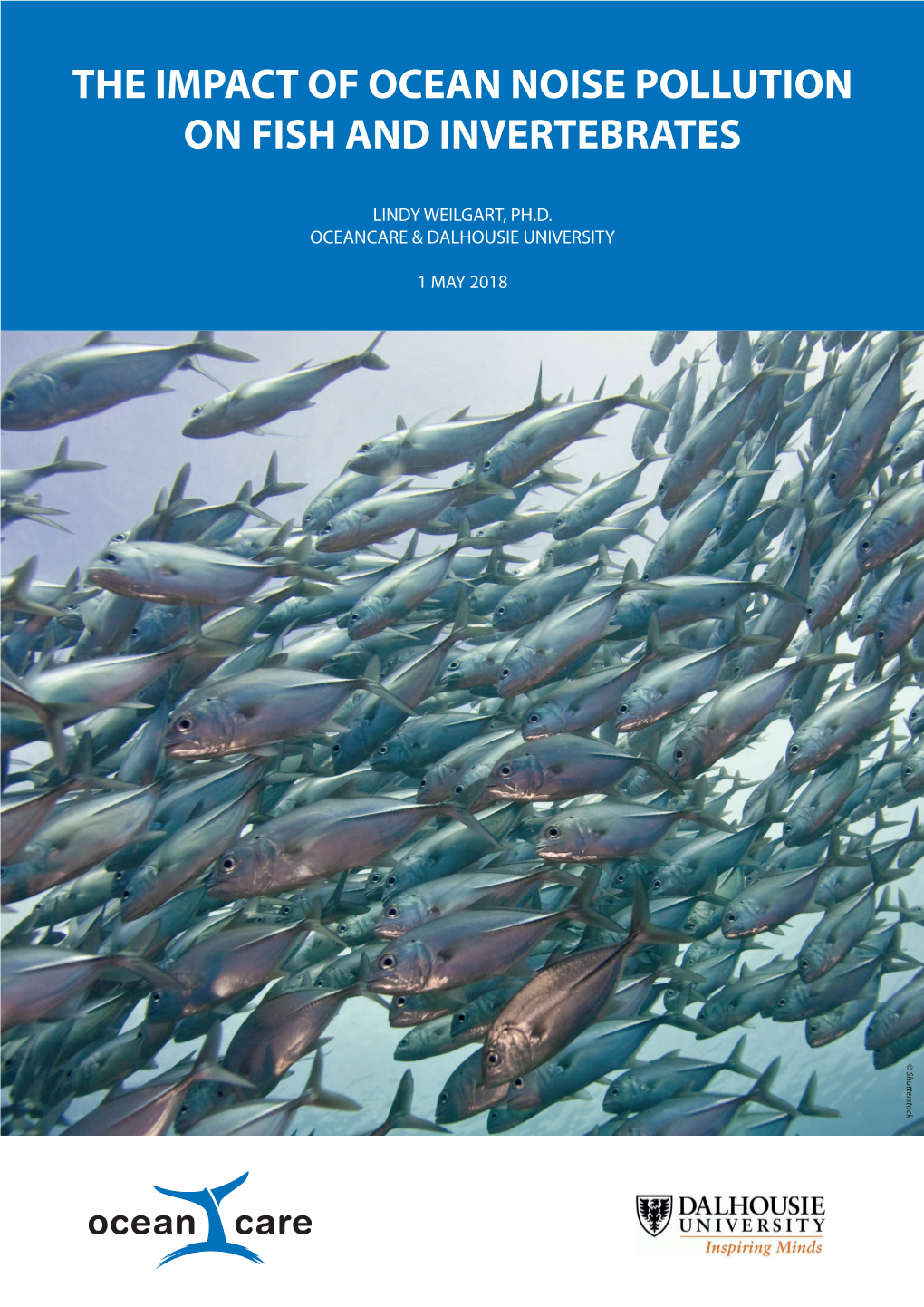 Report: the Impact of Ocean Noise Pollution on Fish And