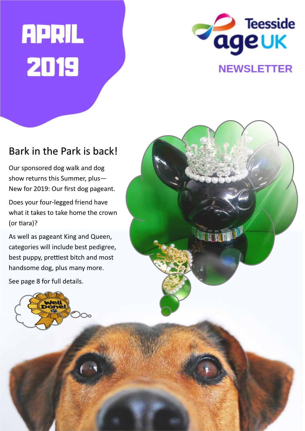 Bark in the Park Is Back!