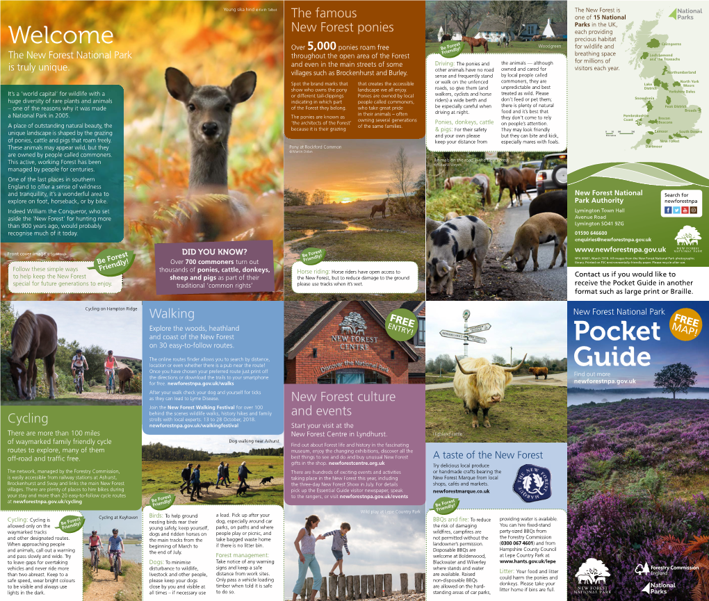 Pocket Guide in Another Format Such As Large Print Or Braille