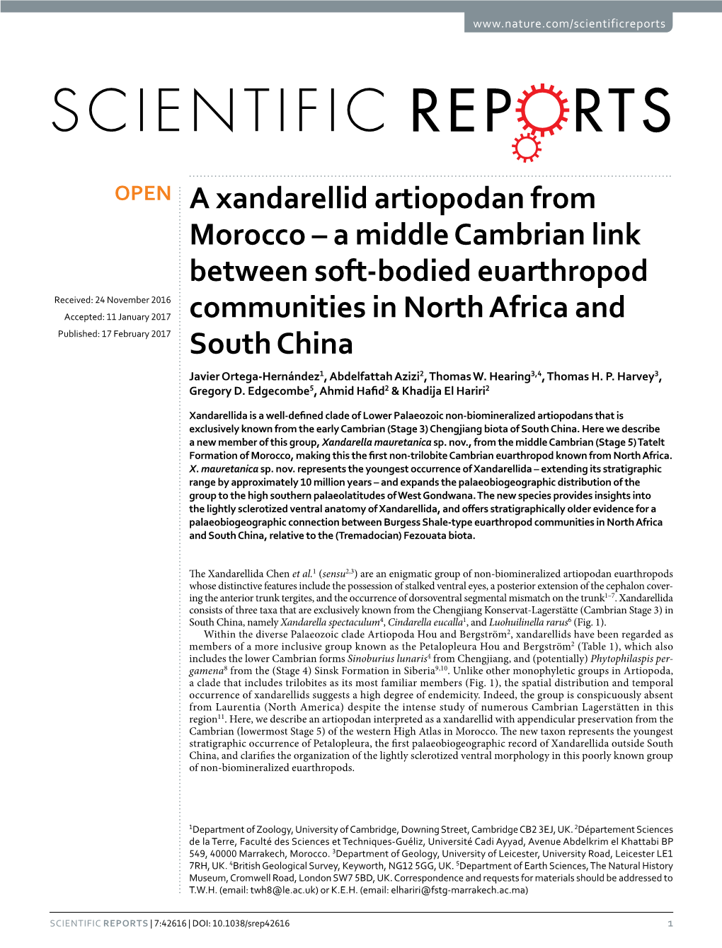 A Middle Cambrian Link Between Soft-Bodied