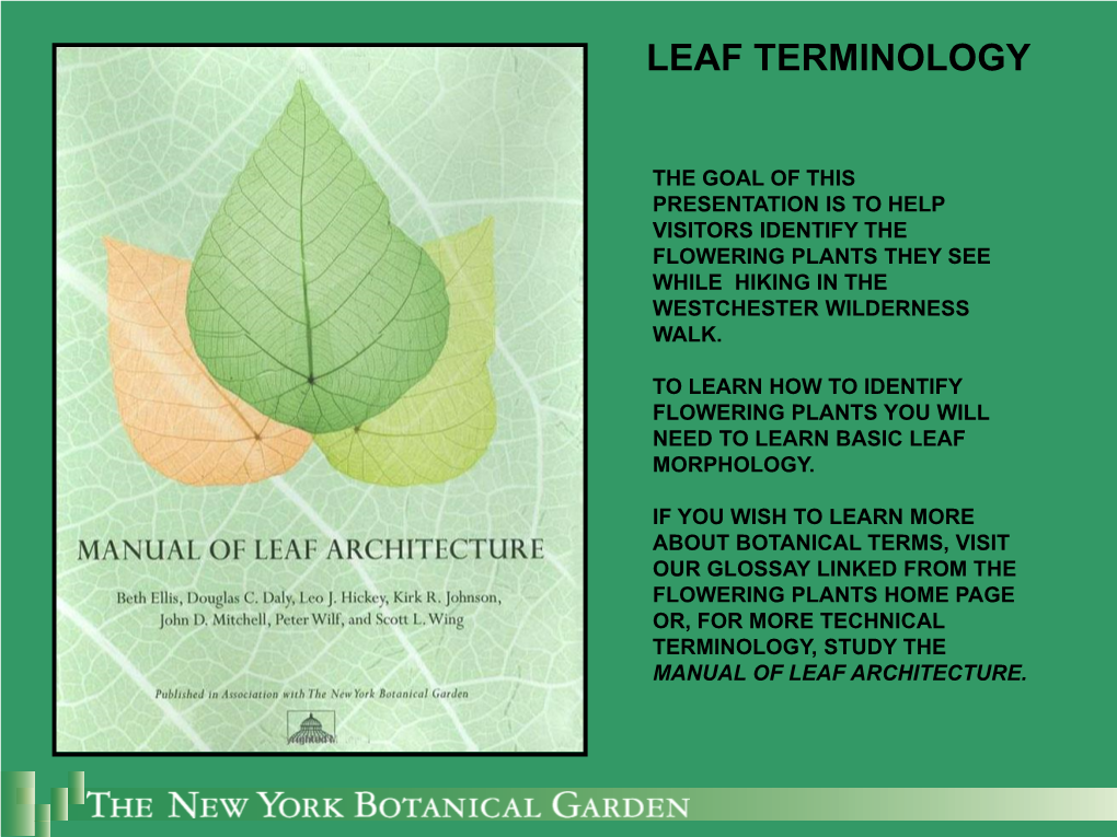 Leaf Terminology