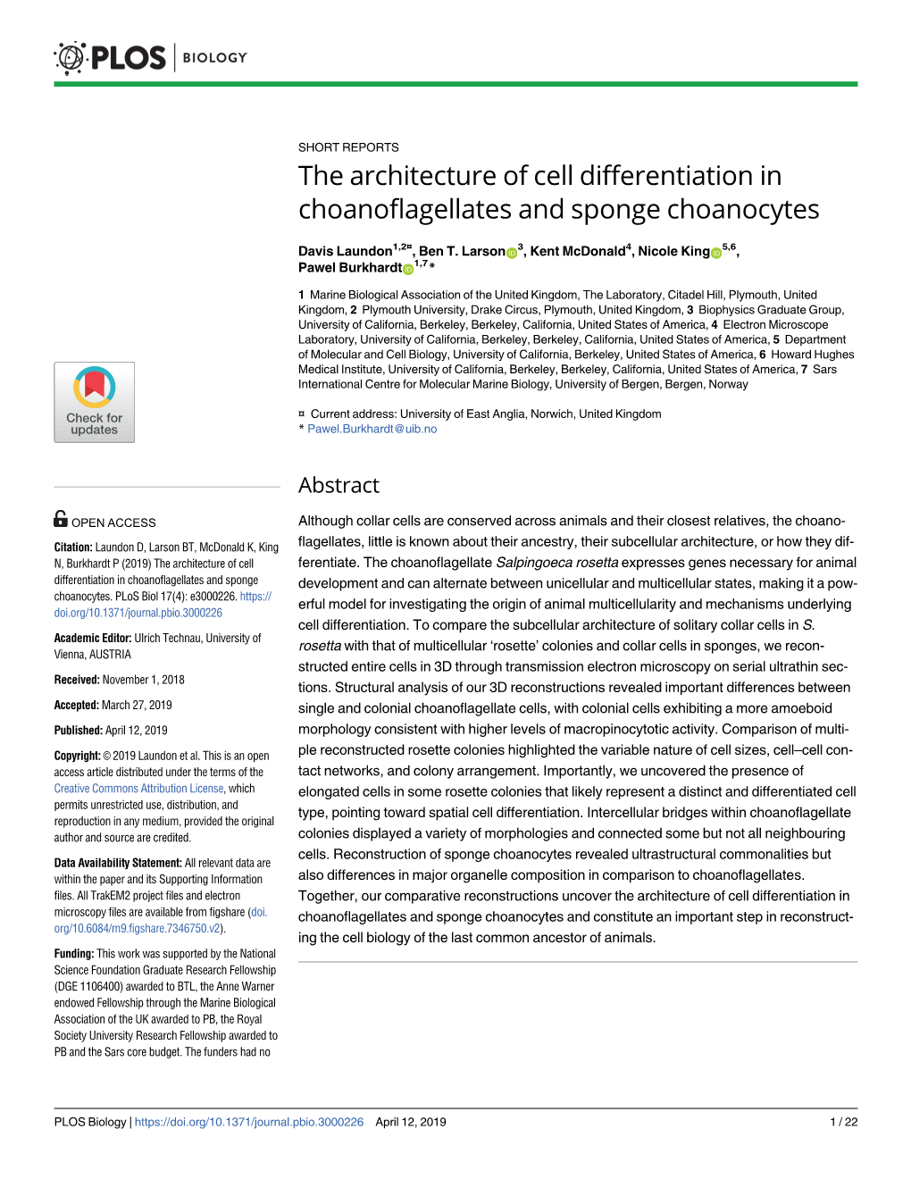 The Architecture of Cell Differentiation in Choanoflagellates and Sponge Choanocytes