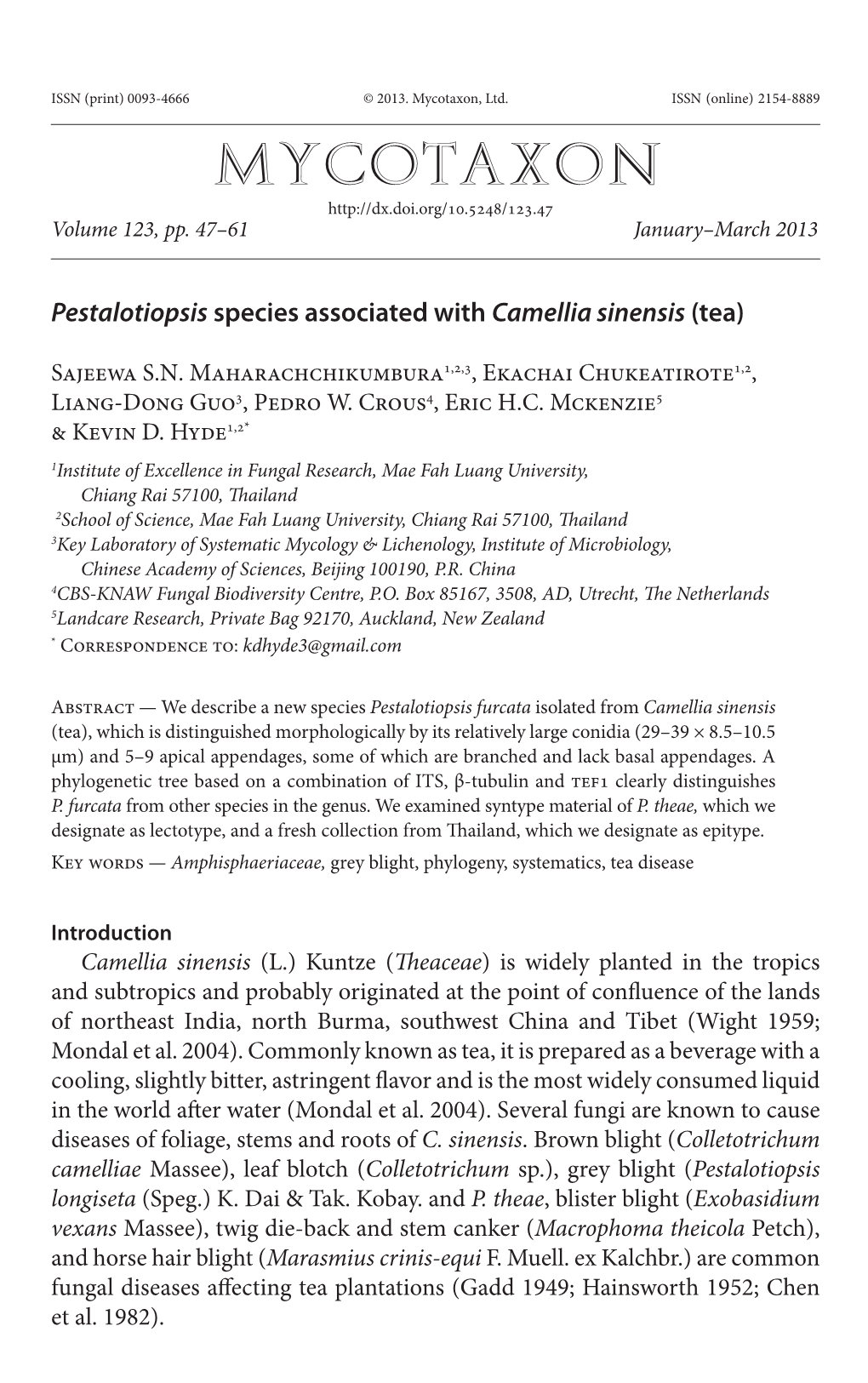 &lt;I&gt;Camellia Sinensis&lt;/I&gt;