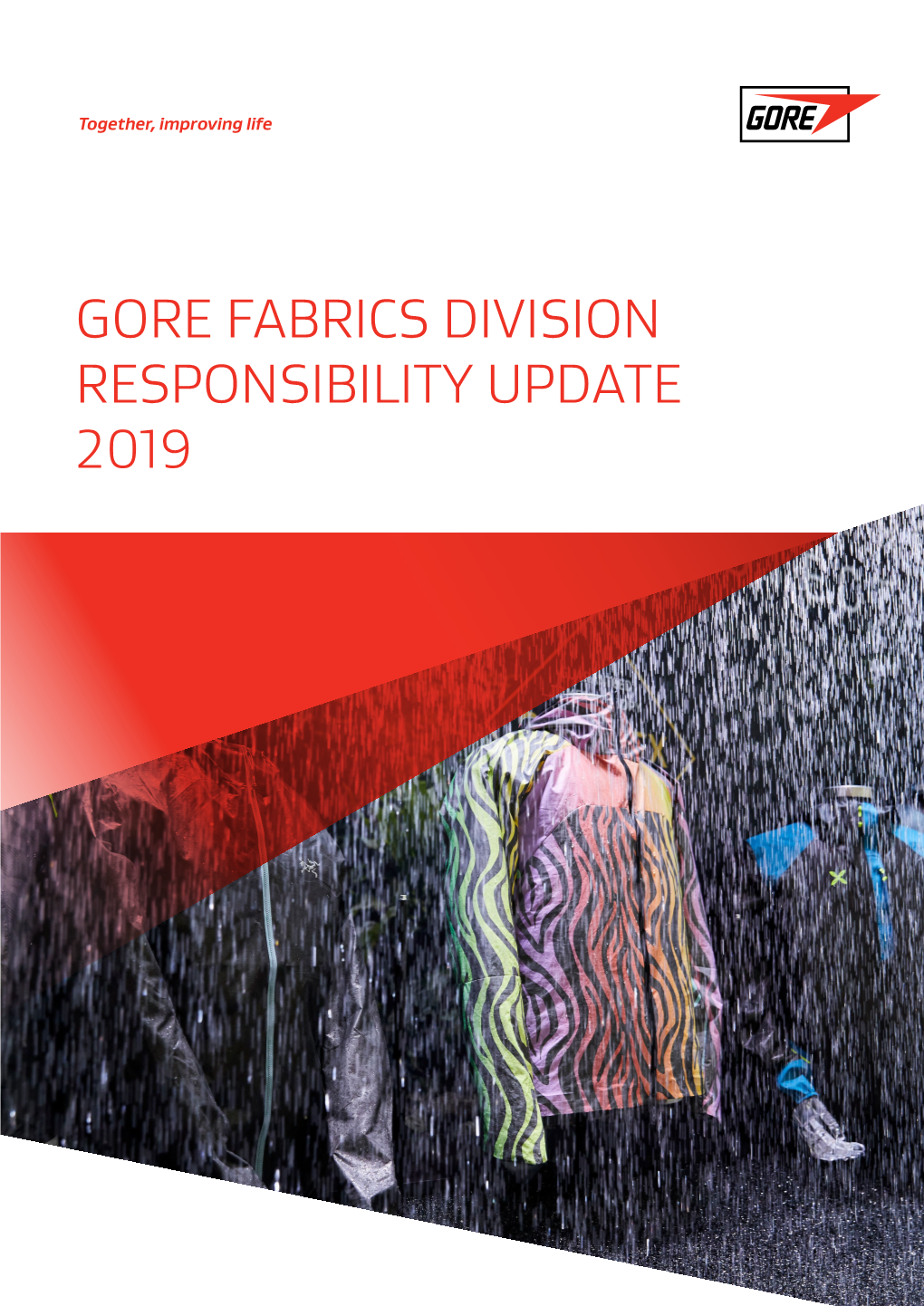 Gore Fabrics Division Responsibility Update 2019 Contents