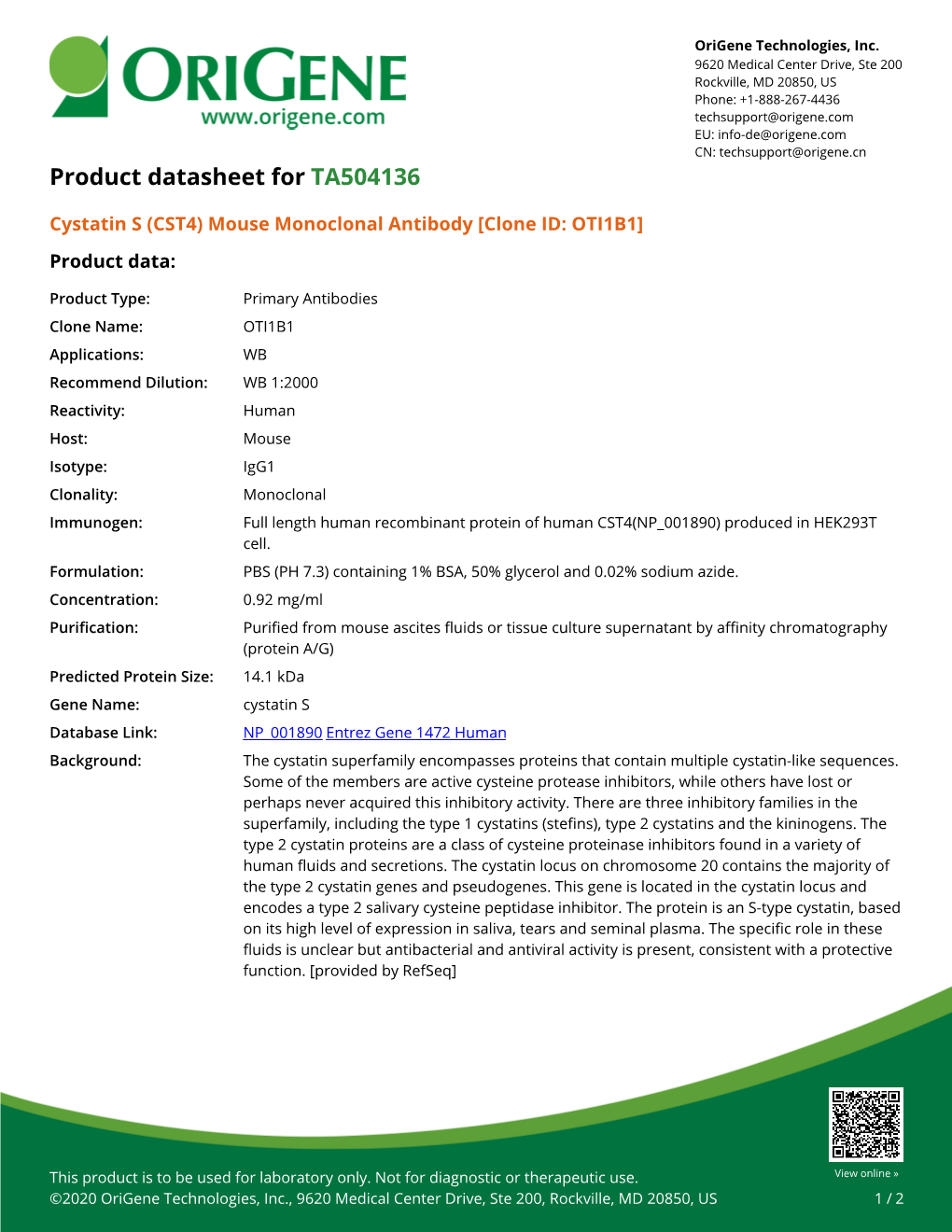 Cystatin S (CST4) Mouse Monoclonal Antibody [Clone ID: OTI1B1] Product Data