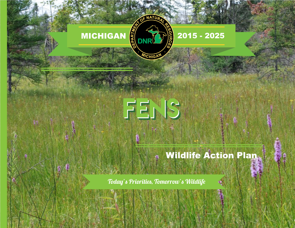 Wildlife Action Plans: Fens