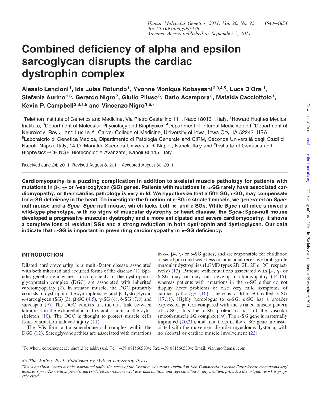 Combined Deficiency of Alpha and Epsilon Sarcoglycan Disrupts The