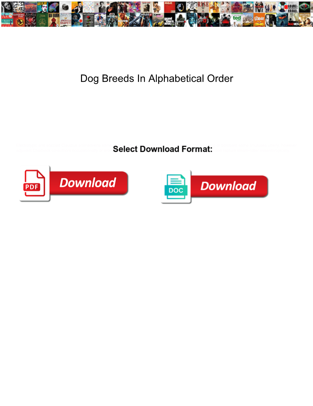 Dog Breeds in Alphabetical Order