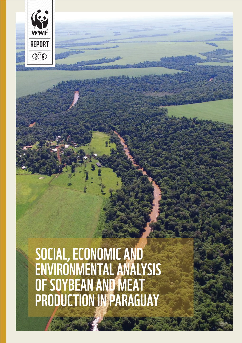 Social, Economic and Environmental Analysis of Soybean and Meat
