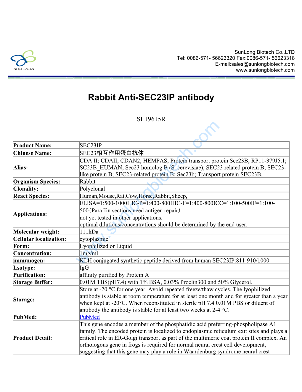 Rabbit Anti-SEC23IP Antibody-SL19615R