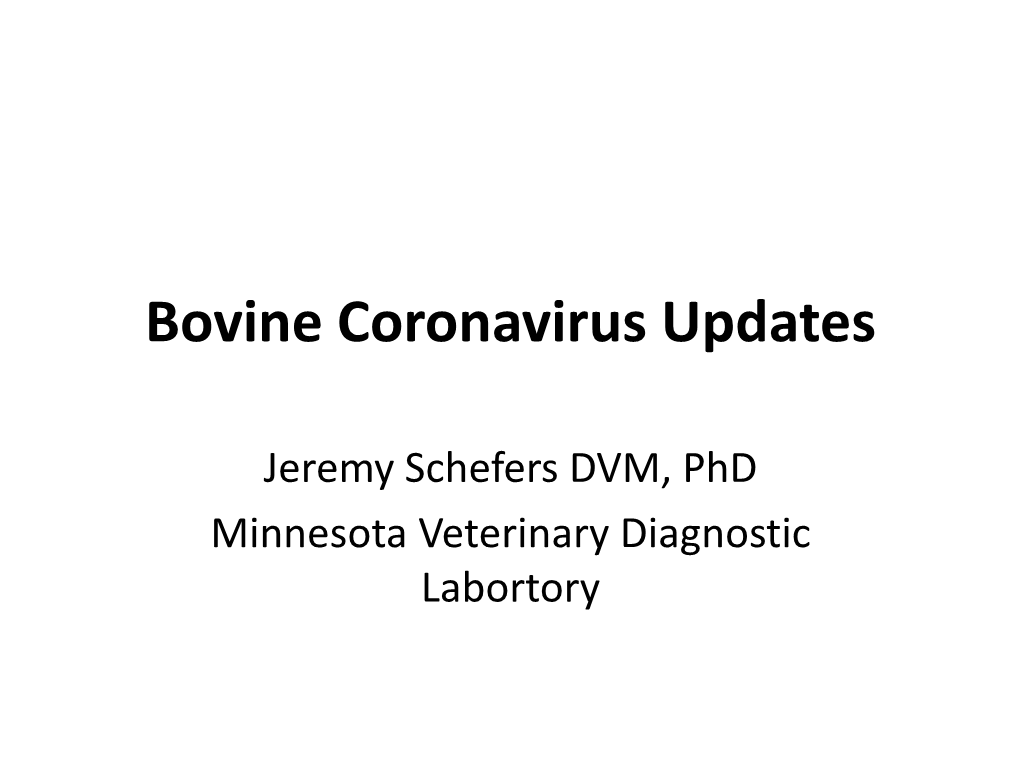 Bovine Coronavirus Updates