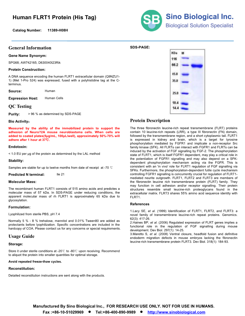 Human FLRT1 Protein (His Tag)