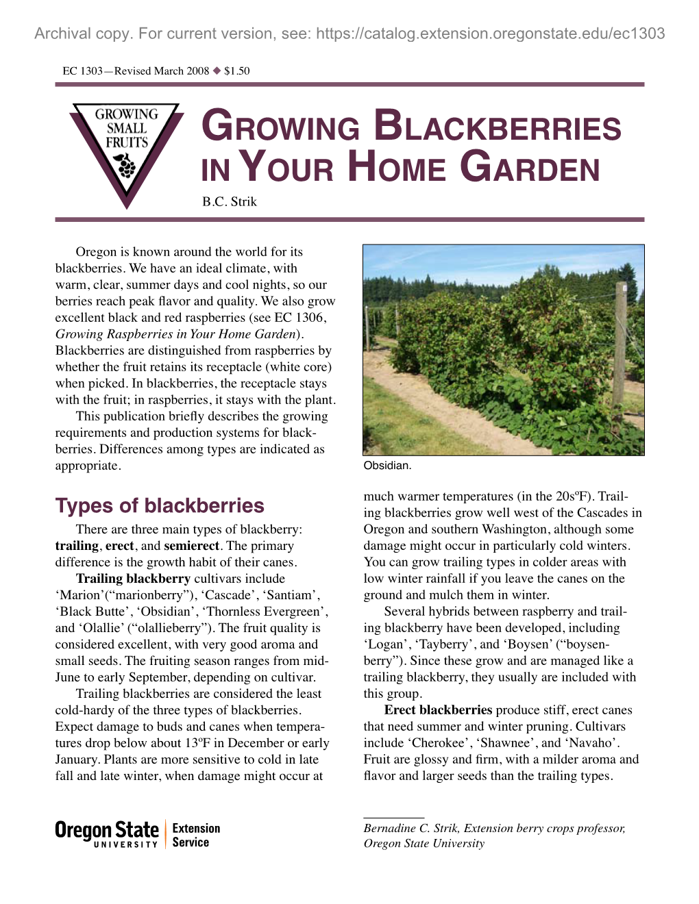 Growing Blackberries in Your Home Garden