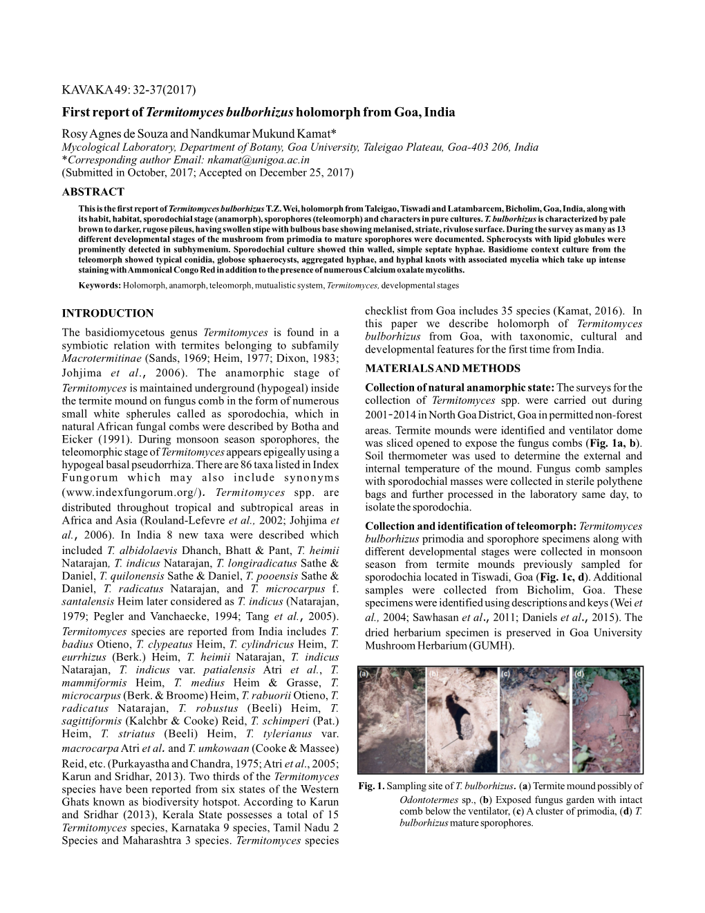 First Report of Holomorph from Goa, India Termitomyces Bulborhizus