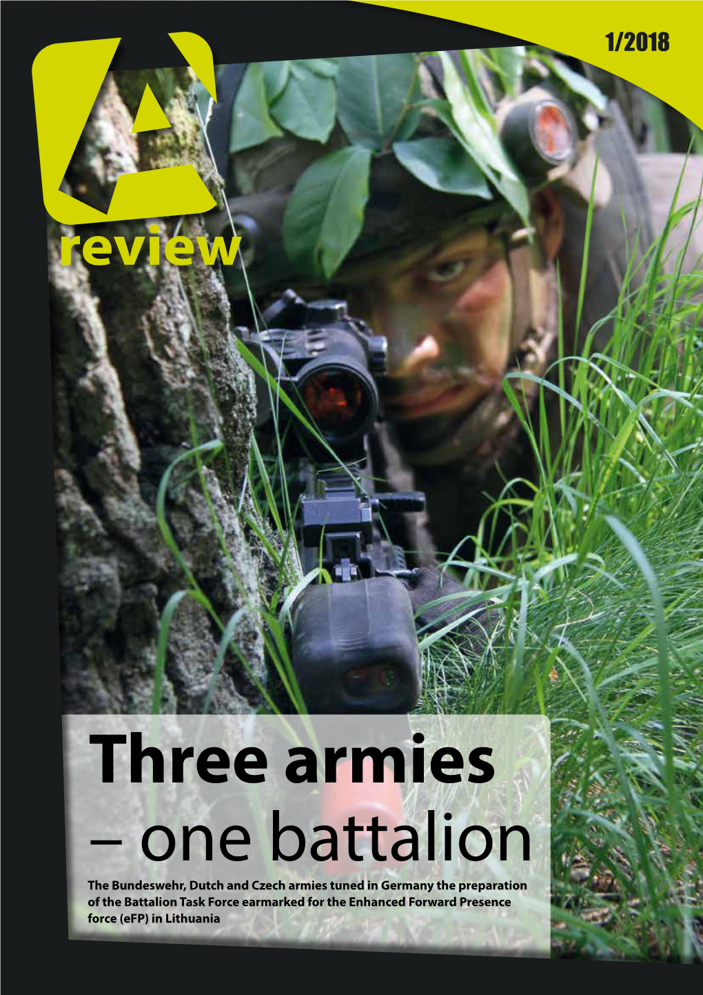 Three Armies – One Battalion