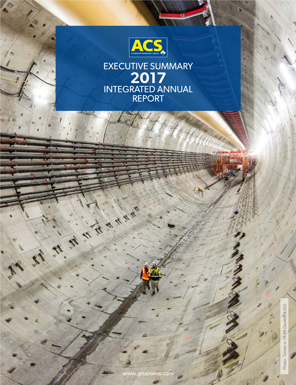 Executive Summary Integrated Annual Report