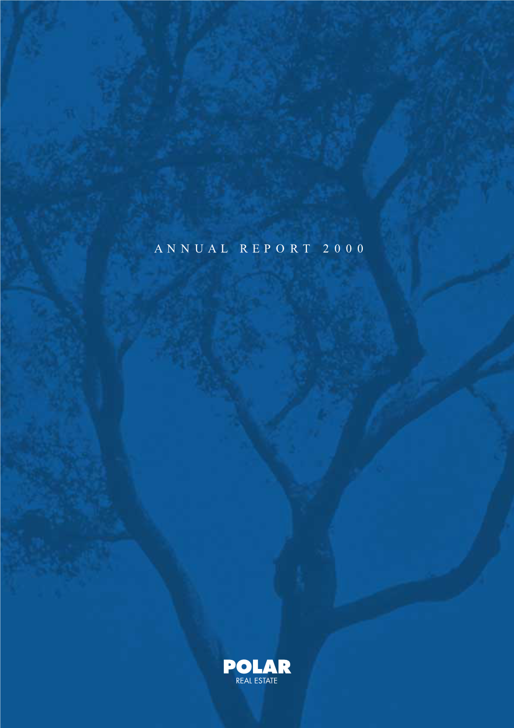 Polar Real Estate Annual Report 2000