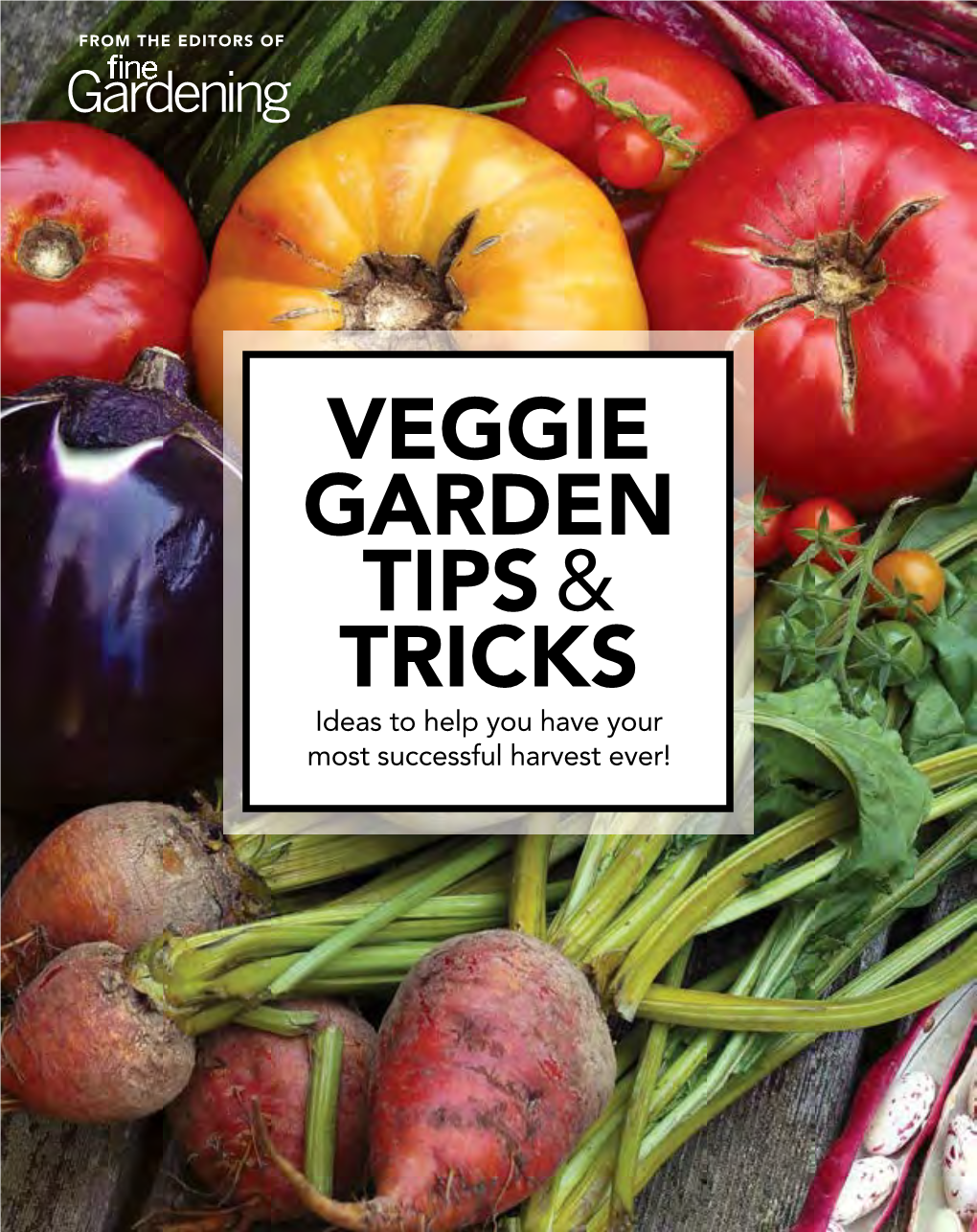 Veggie Garden Tips & Tricks