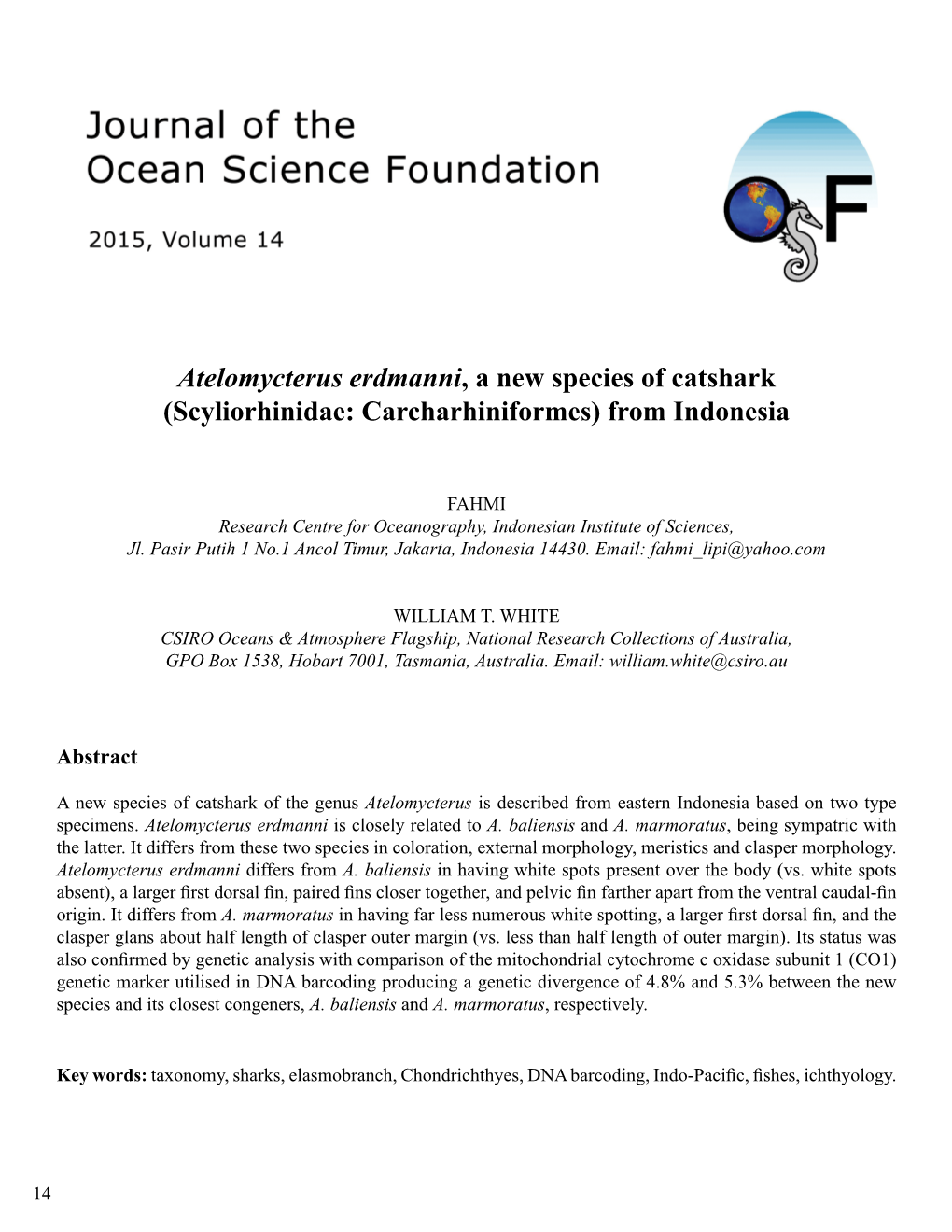 Atelomycterus Erdmanni, a New Species of Catshark (Scyliorhinidae: Carcharhiniformes) from Indonesia