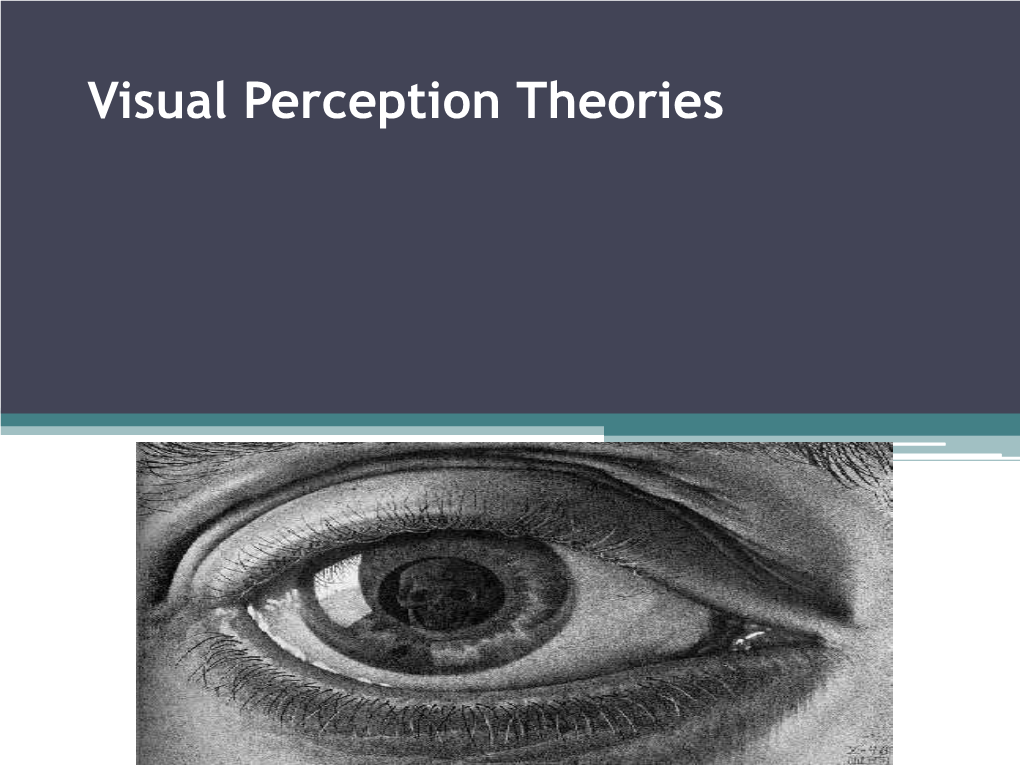 Chapter 5. the Sensual and Perceptual Theories of Visual