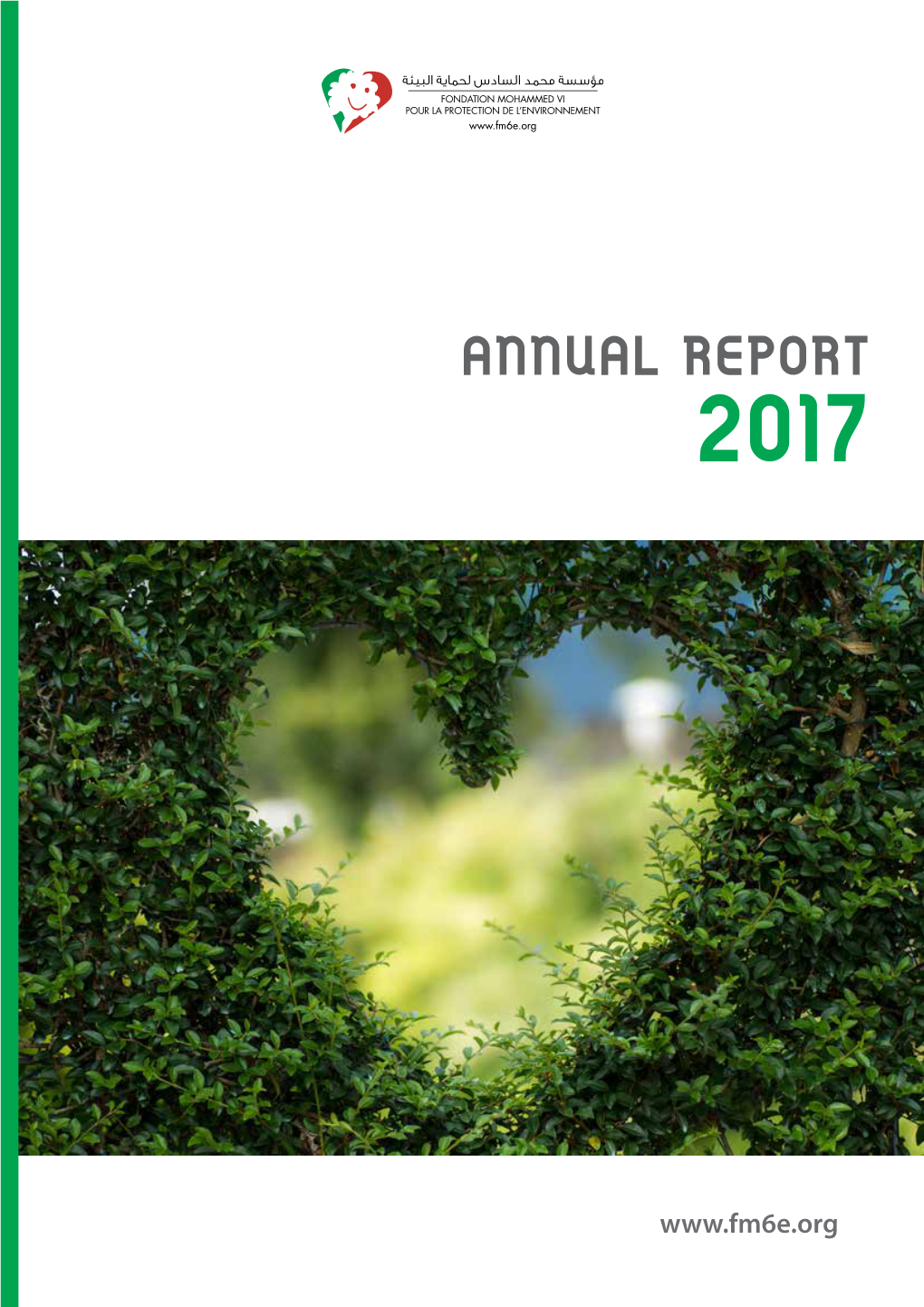 Annual Report 2017