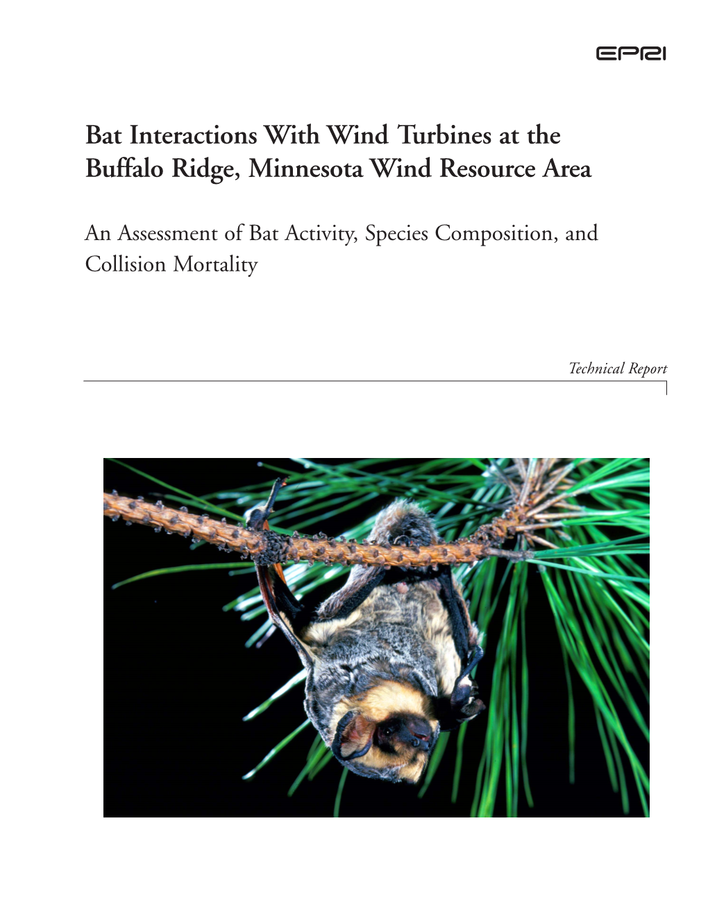 Bat Interactions with Wind Turbines at the Buffalo Ridge, Minnesota Wind Resource Area