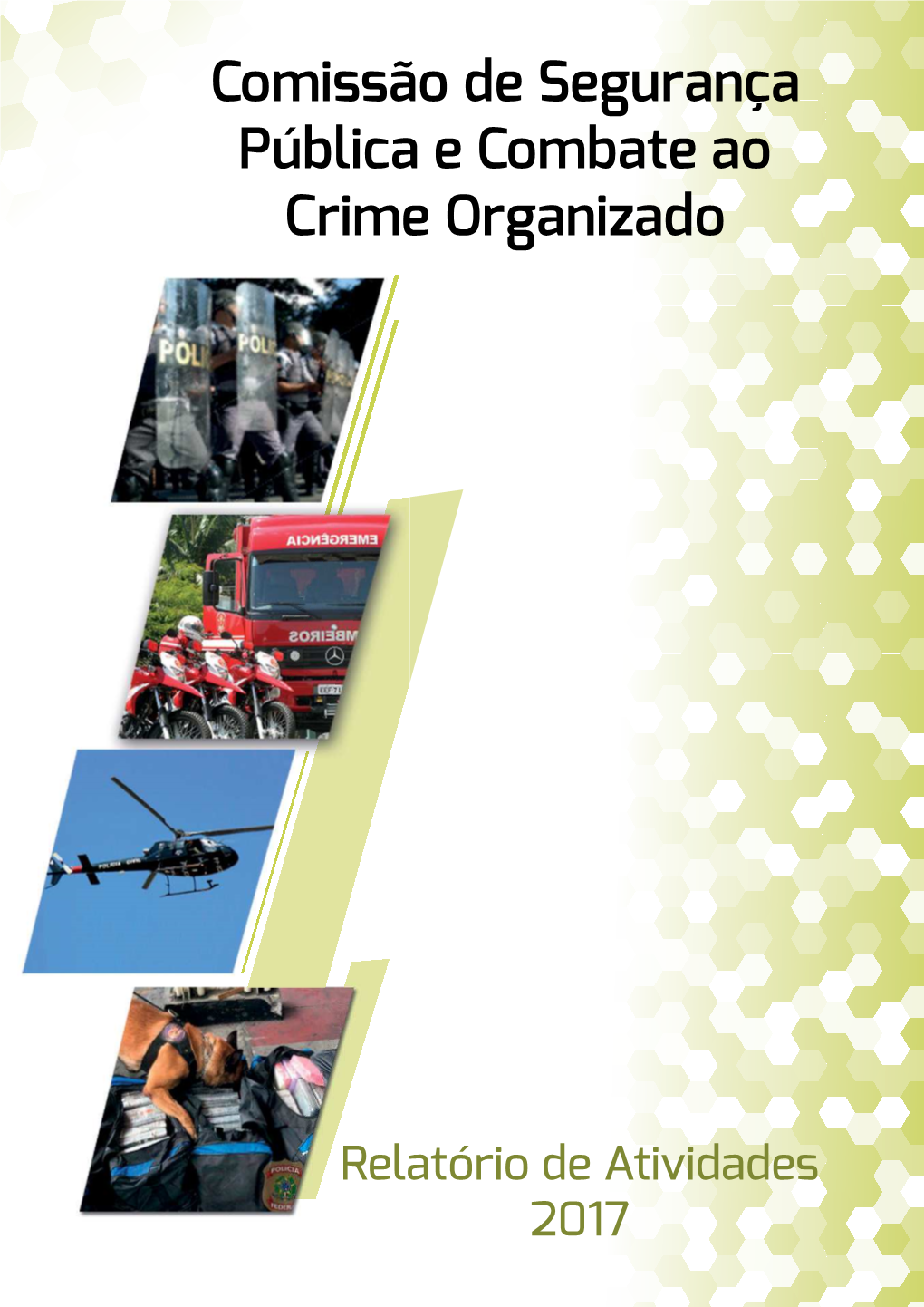 Comissão De Segurança Pública E Combate Ao Crime Organizado