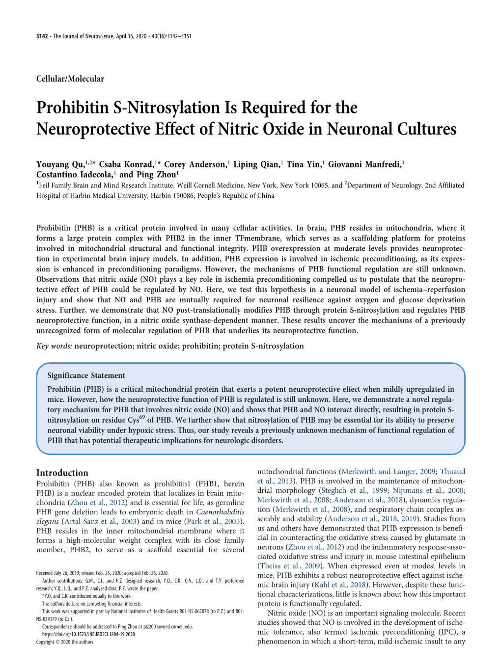 Prohibitin S-Nitrosylation Is Required for the Neuroprotective Effect of Nitric Oxide in Neuronal Cultures